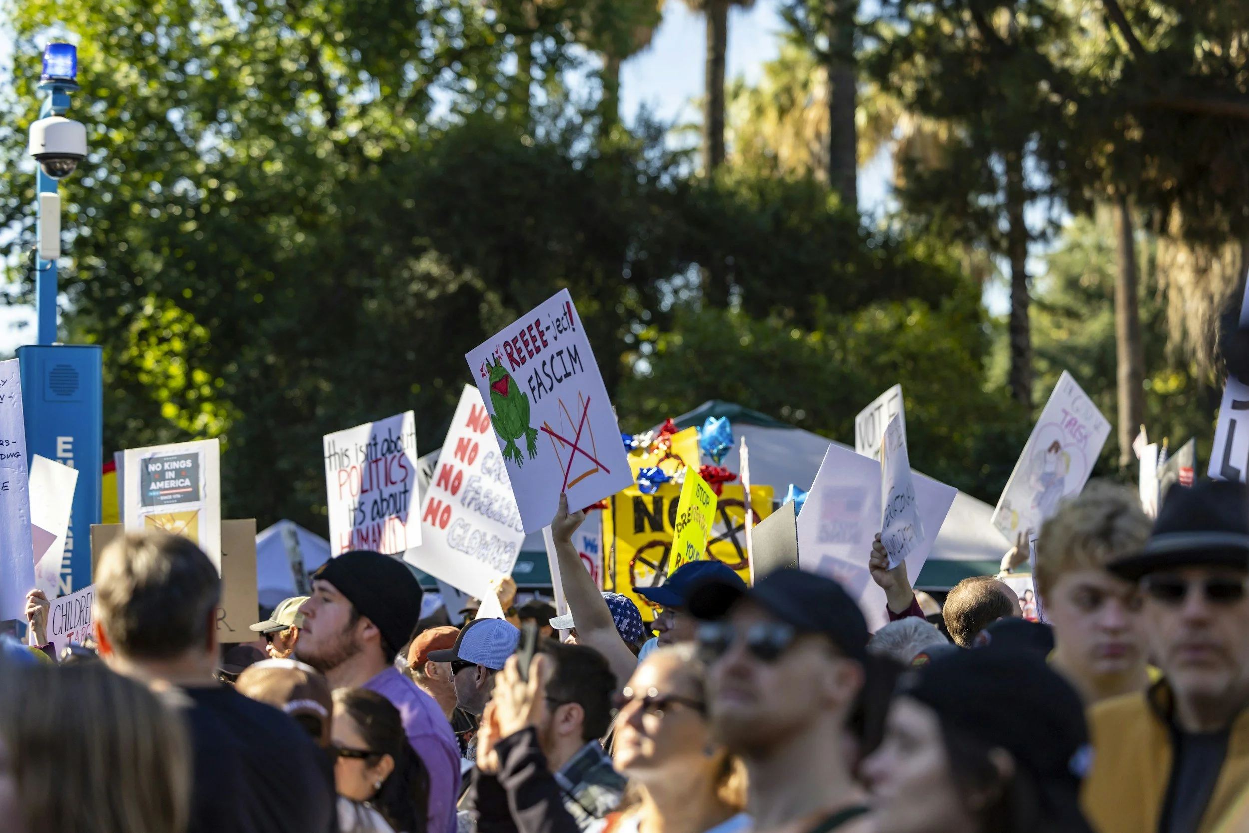 Opinion: No Kings: - A Huge Success&nbsp;