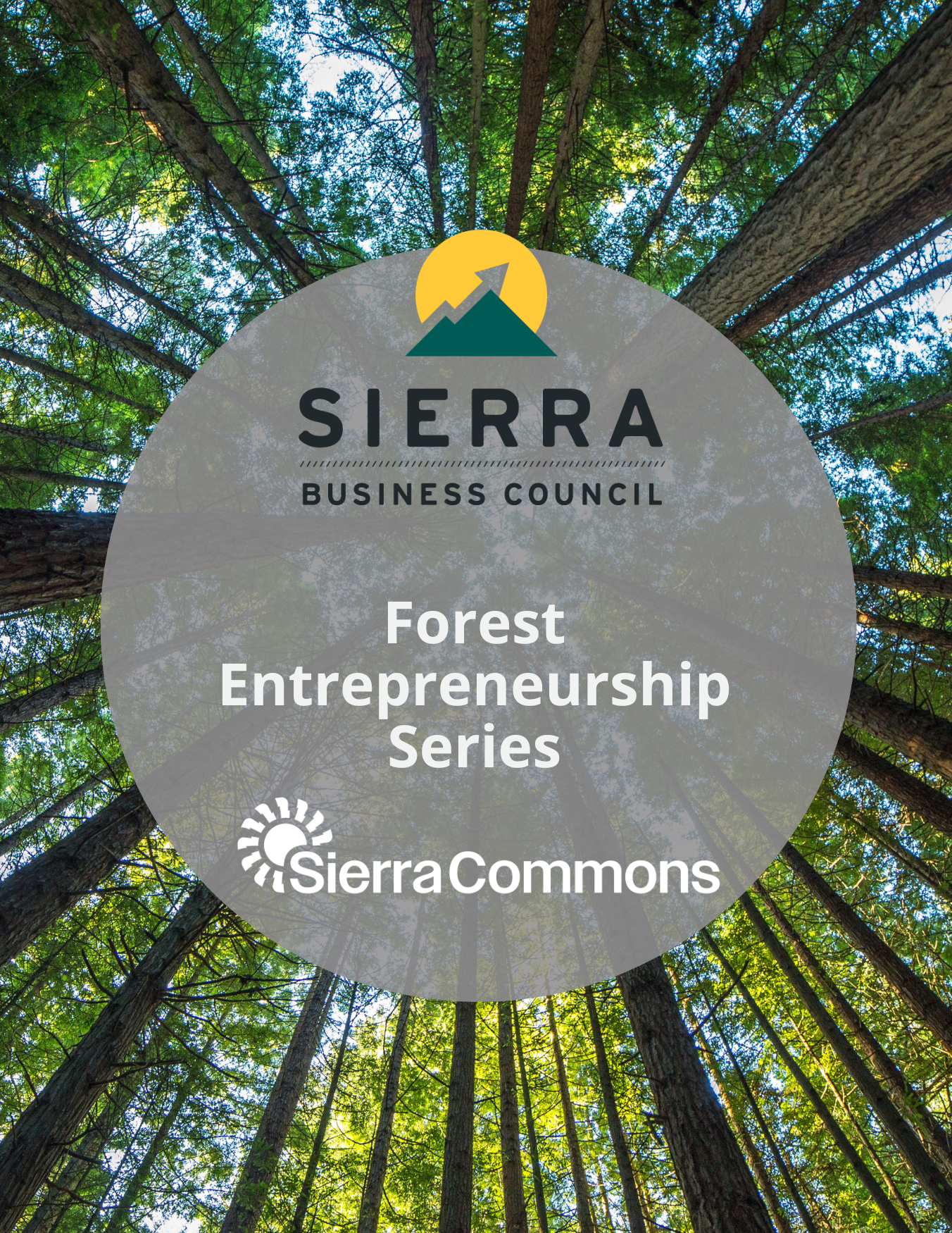 Intro Forest Entrepreneurship - Grass Valley, CA (2 Day Bootcamp)