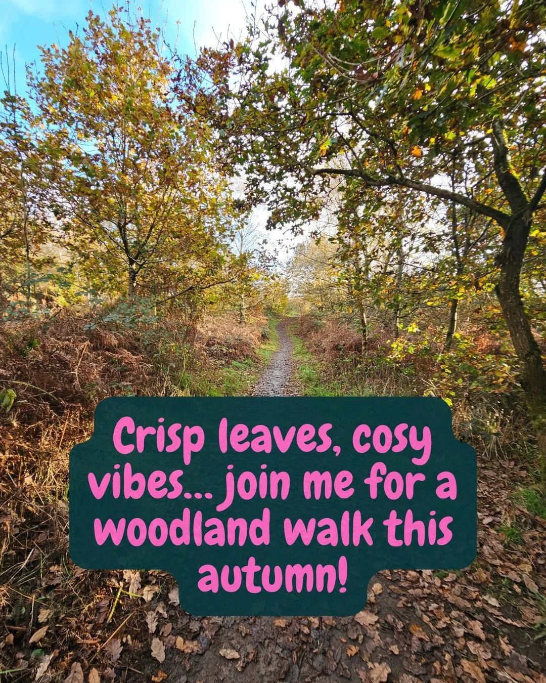 👣 Fancy a walk? 🌿
Join me at Grinshill &amp; Corbet Woods for a free, friendly community walk &mdash; all welcome! 💚

📅 1st November
🎟 Free via Eventbrite (link in bio)

Let&rsquo;s enjoy the Autumnal woodlands together 🌳✨

#Grinshill #CorbetWo