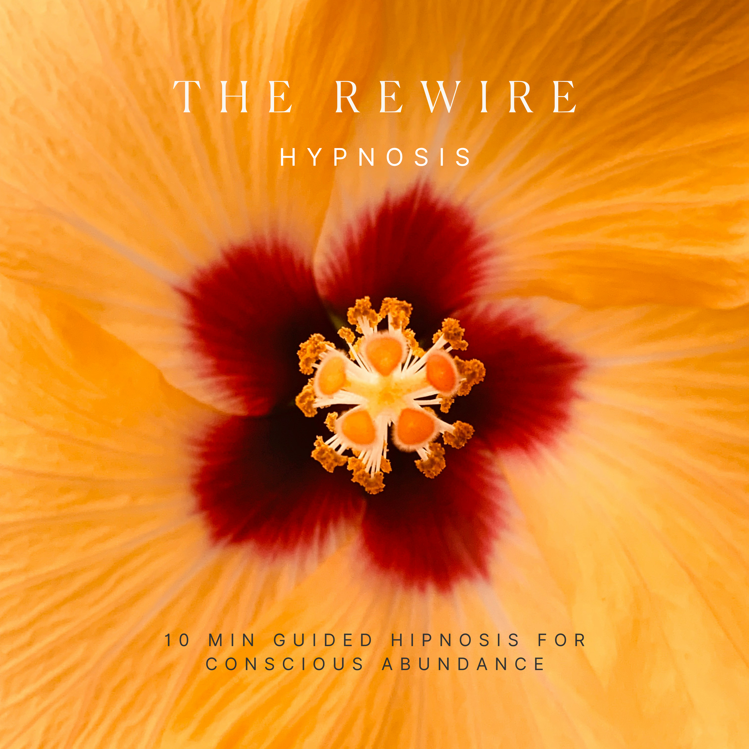 Rewire Hypnosis