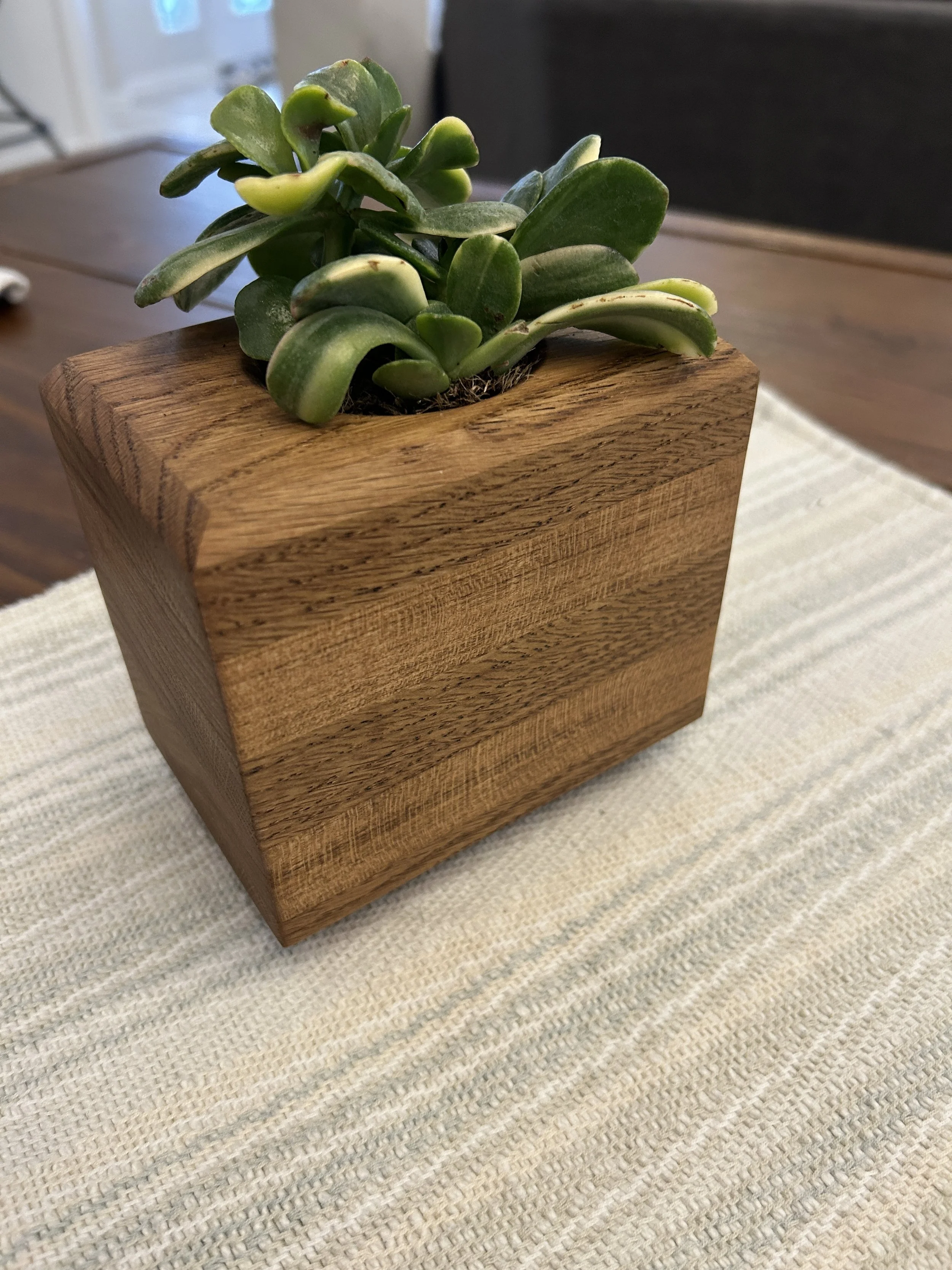 Small Succulent Planter