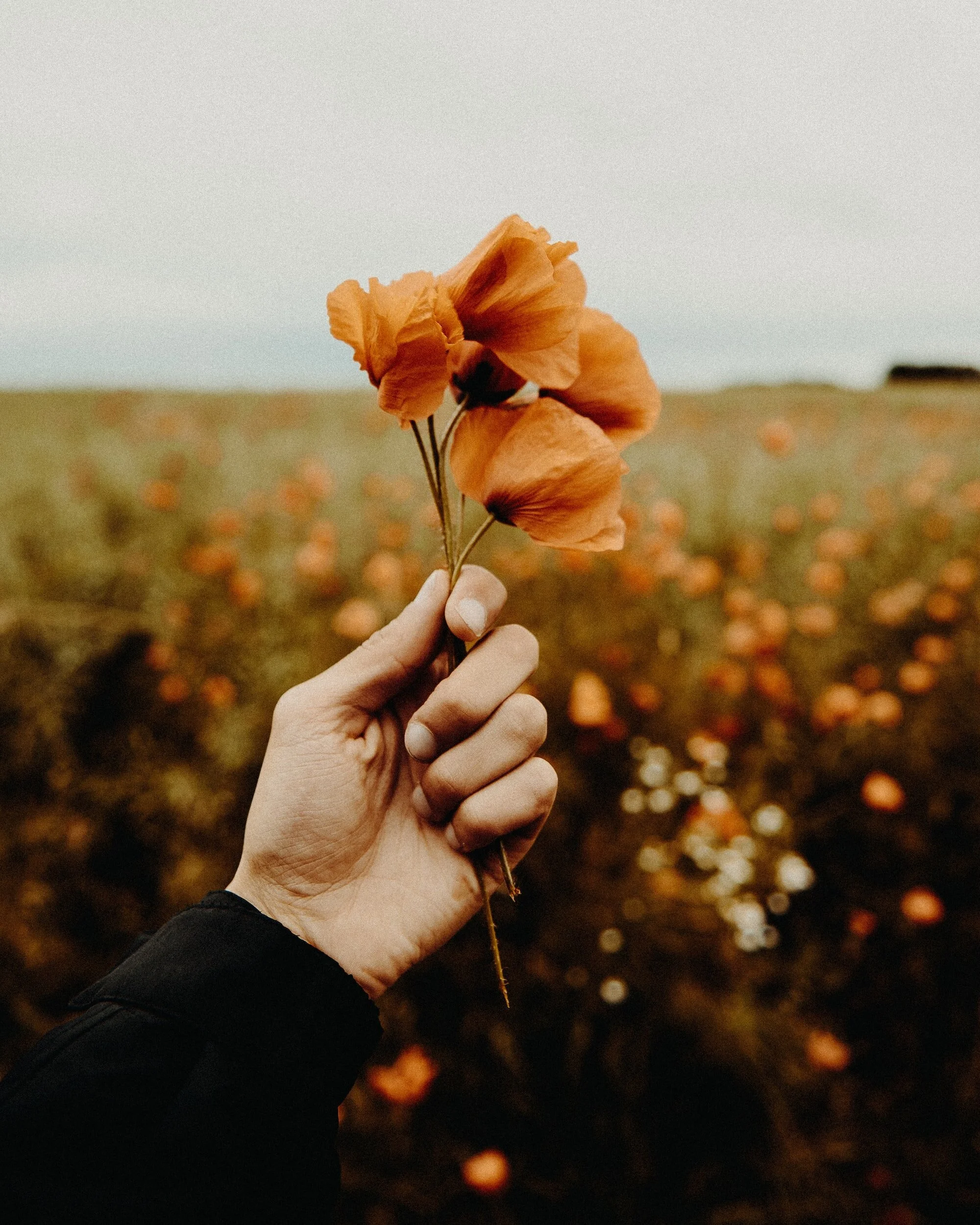 Who is Your Illness Inviting You to Become?