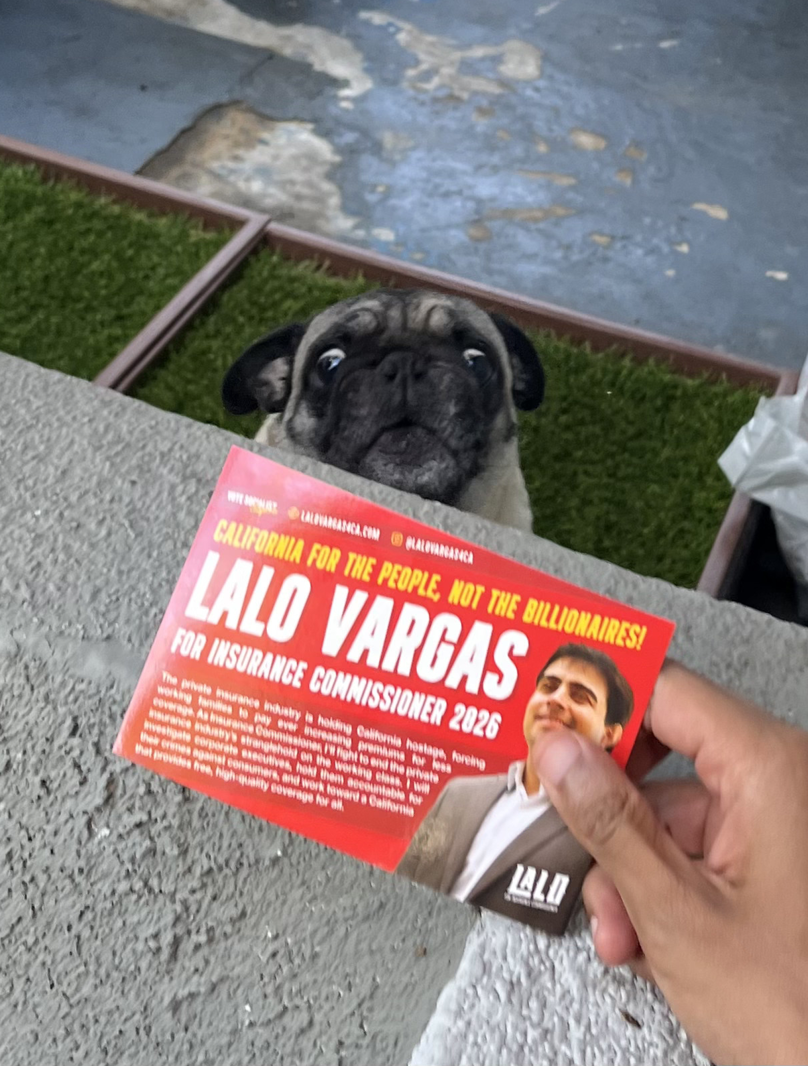 Lalo-Get-Involved-06 (1).png