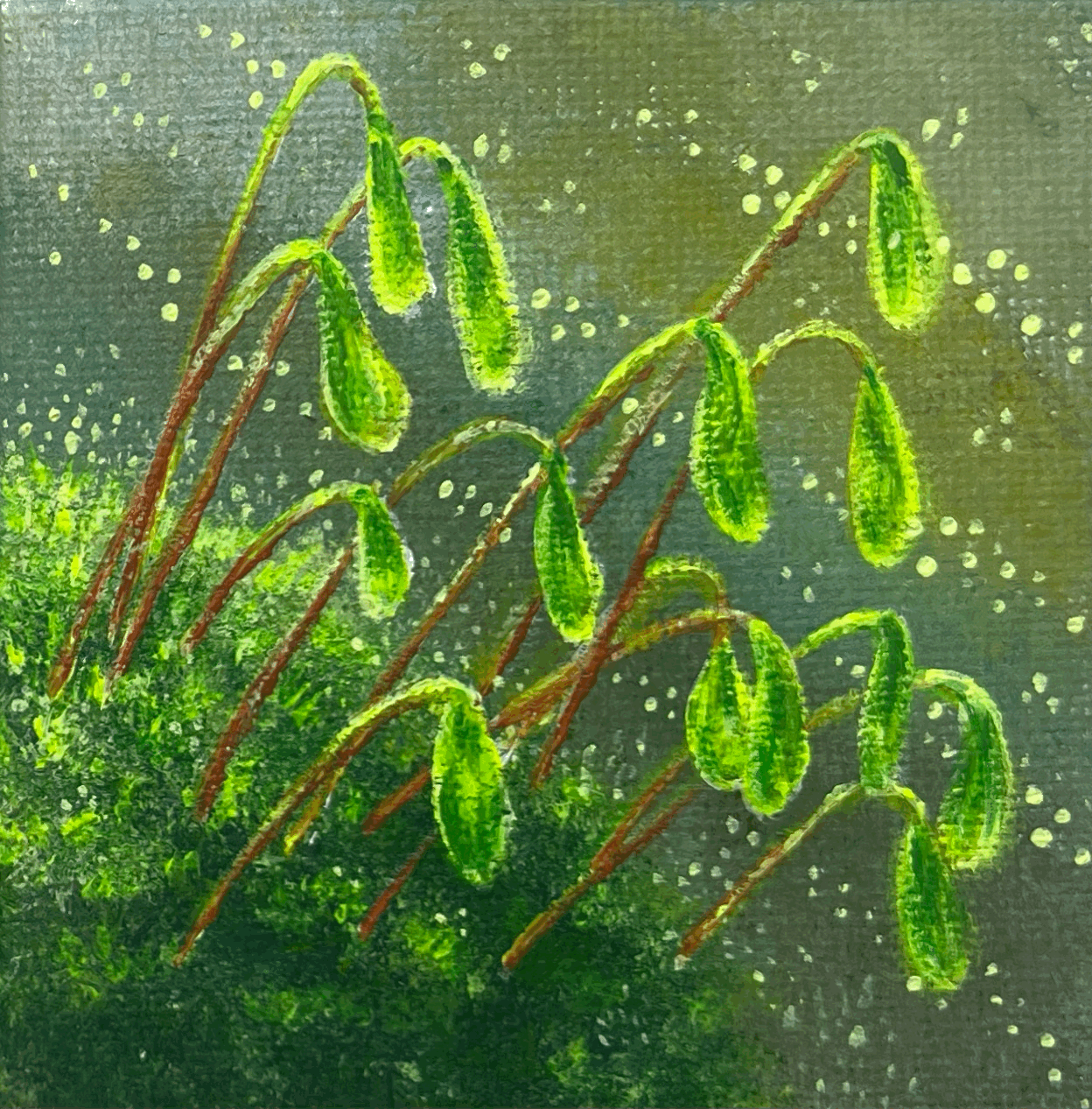 tempImagejVDnar.gif