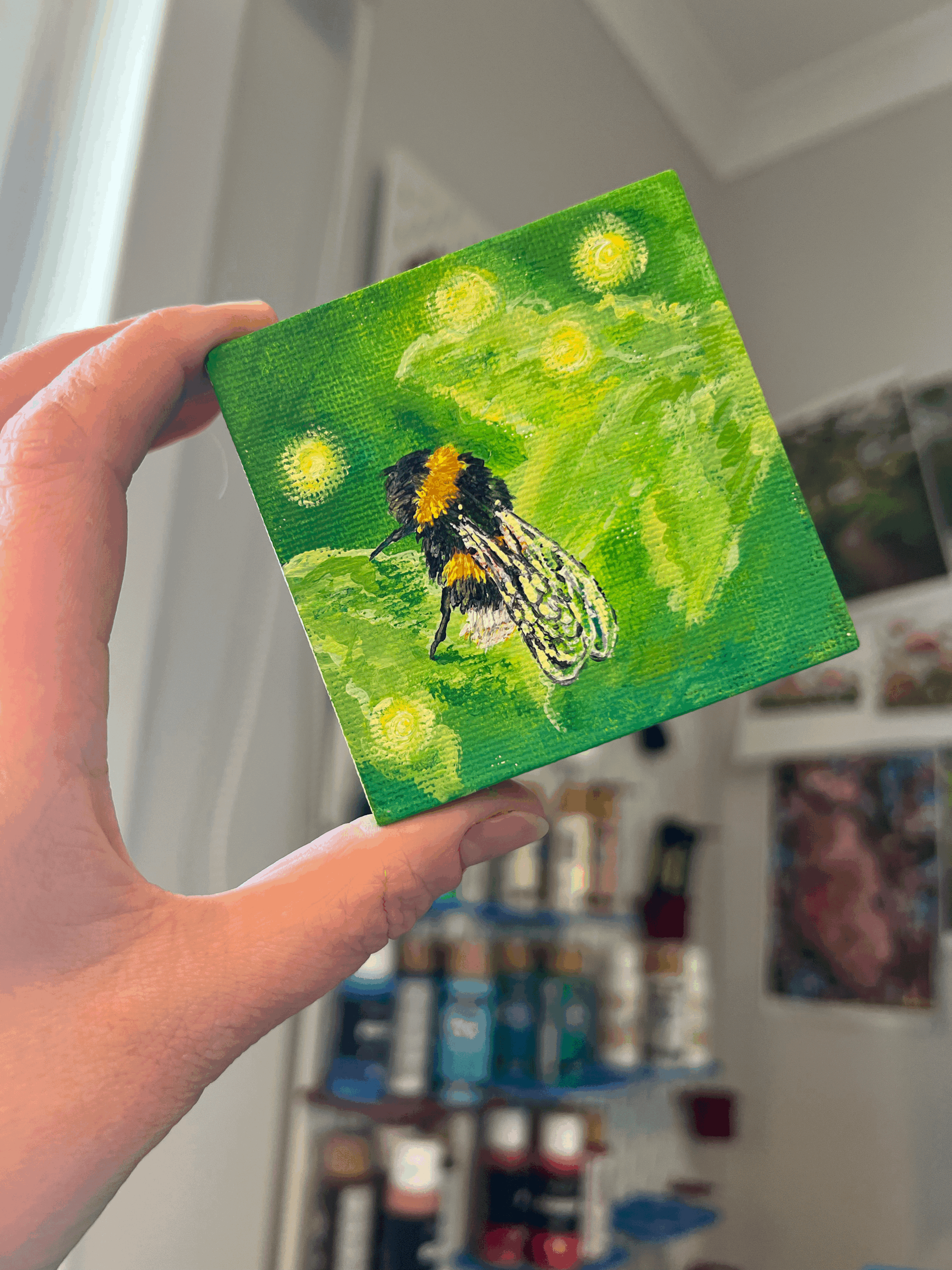 tempImageP7x7Dl.gif