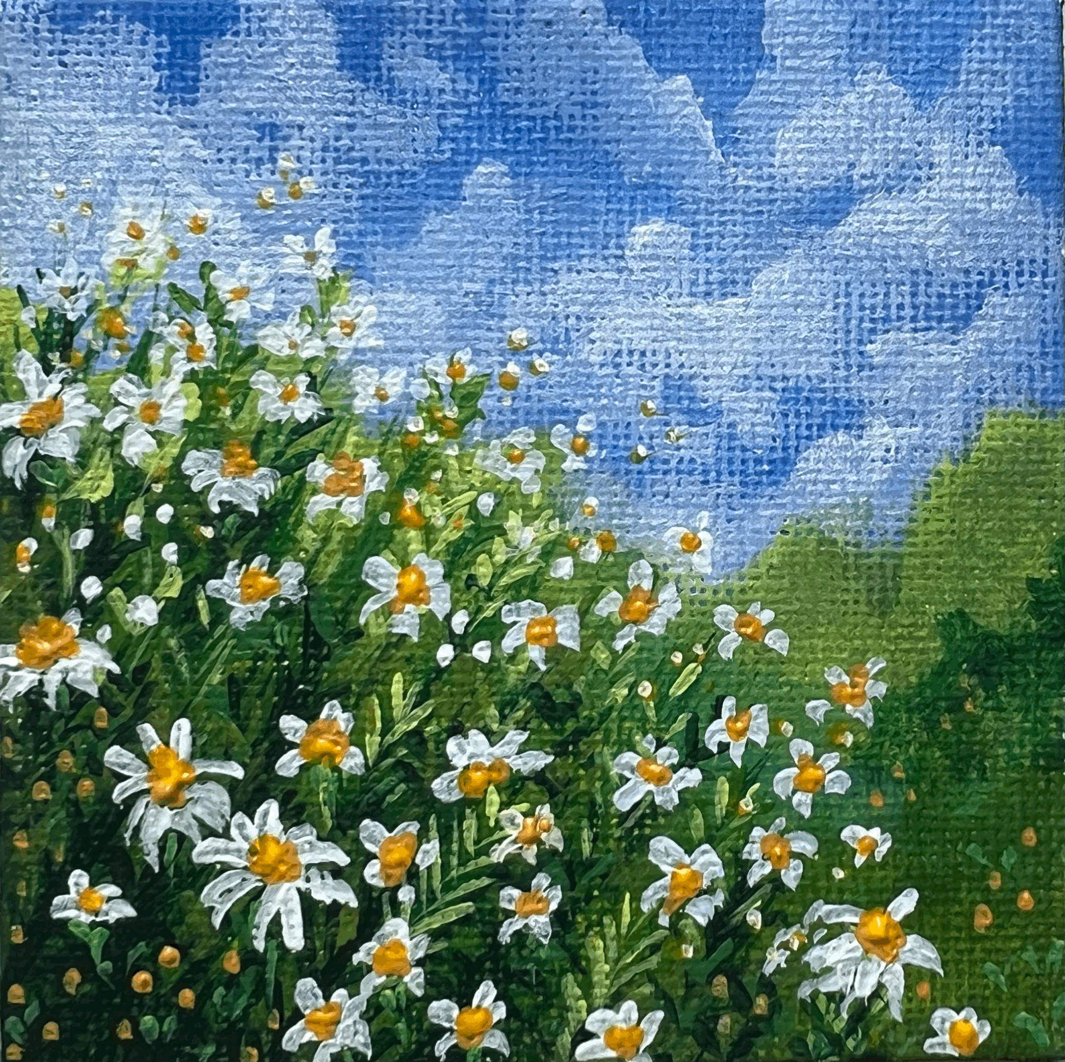 tempImageSMnzQ4.gif