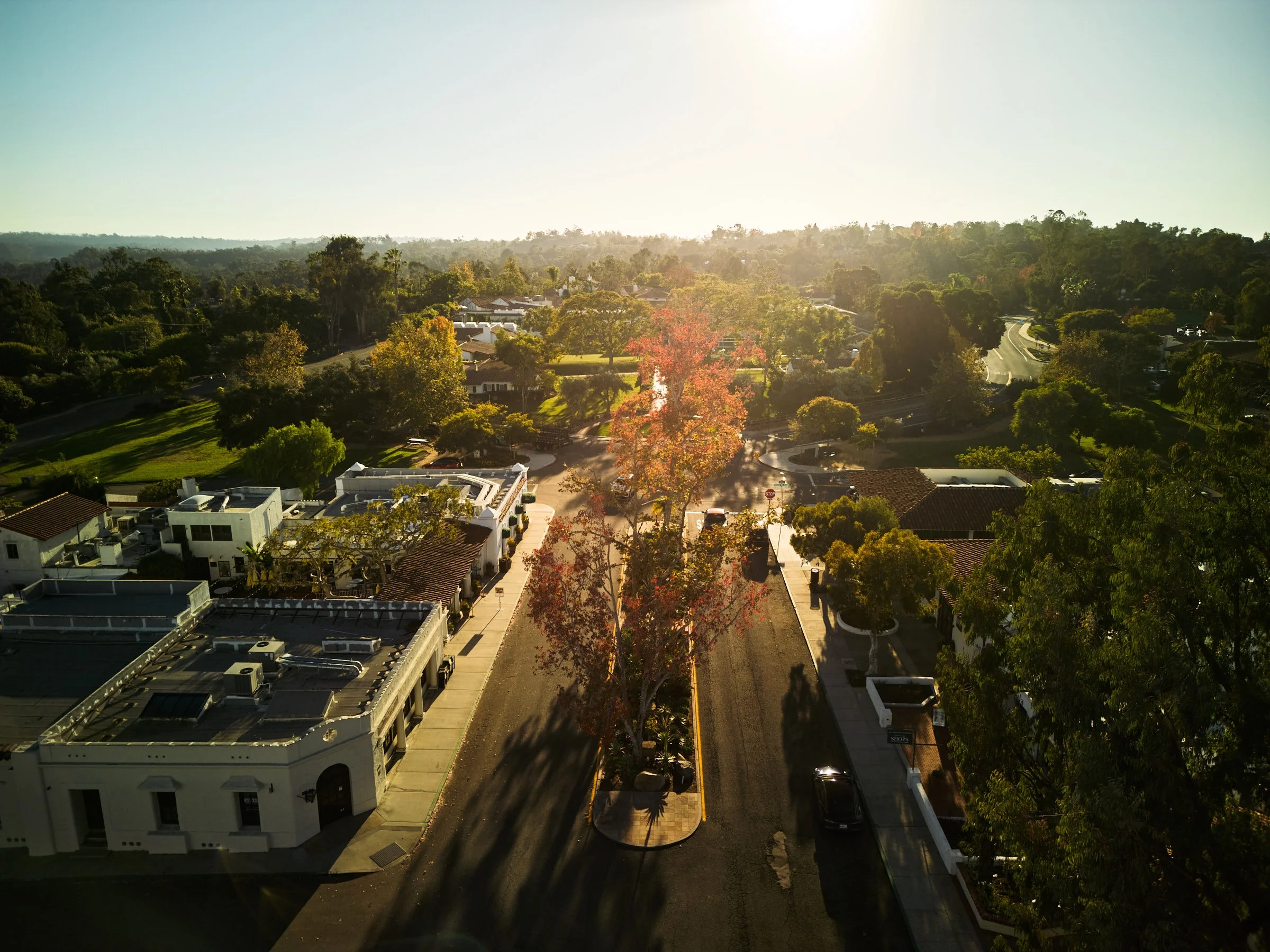 DJI_0177.jpg