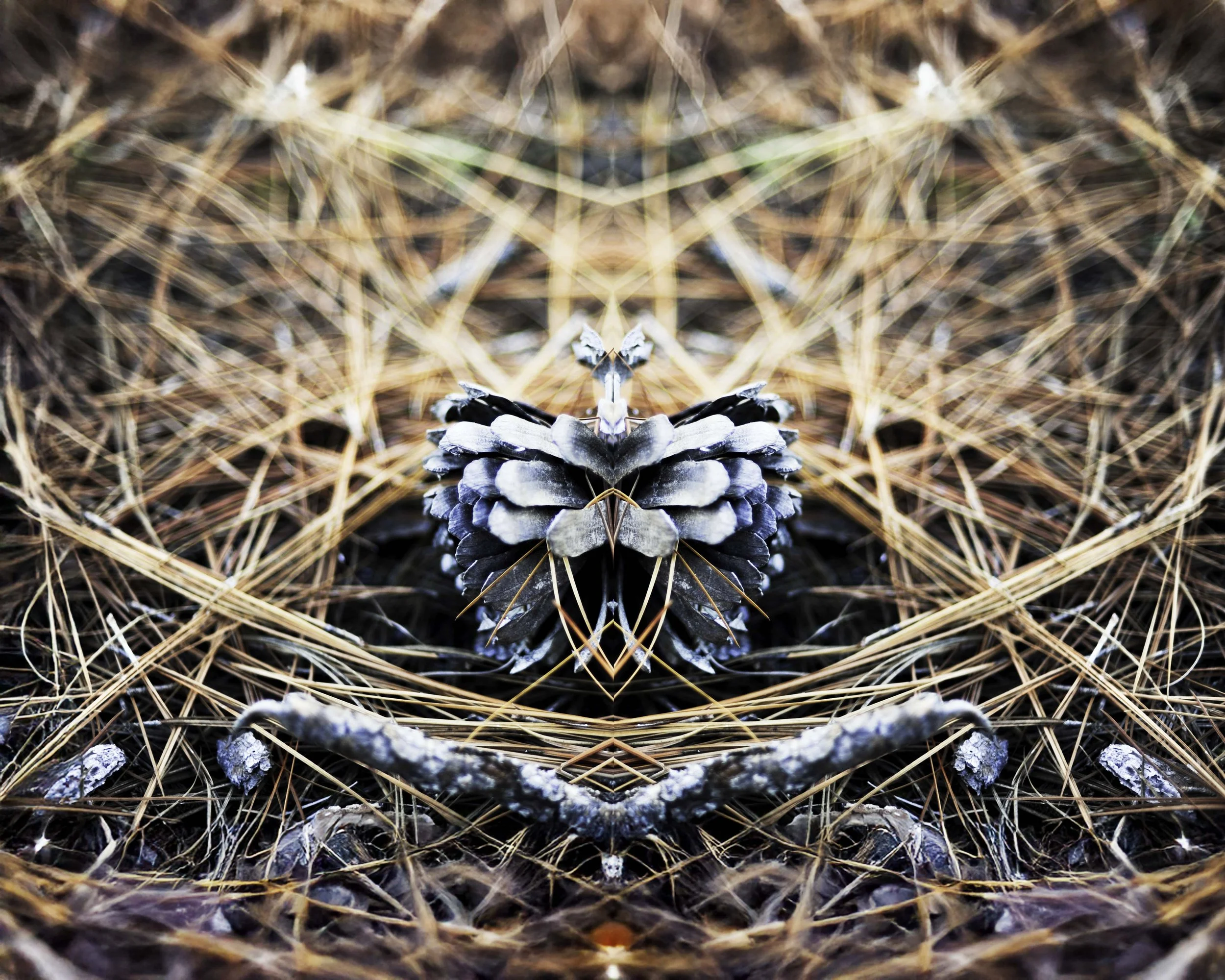 Manufactured Symmetry