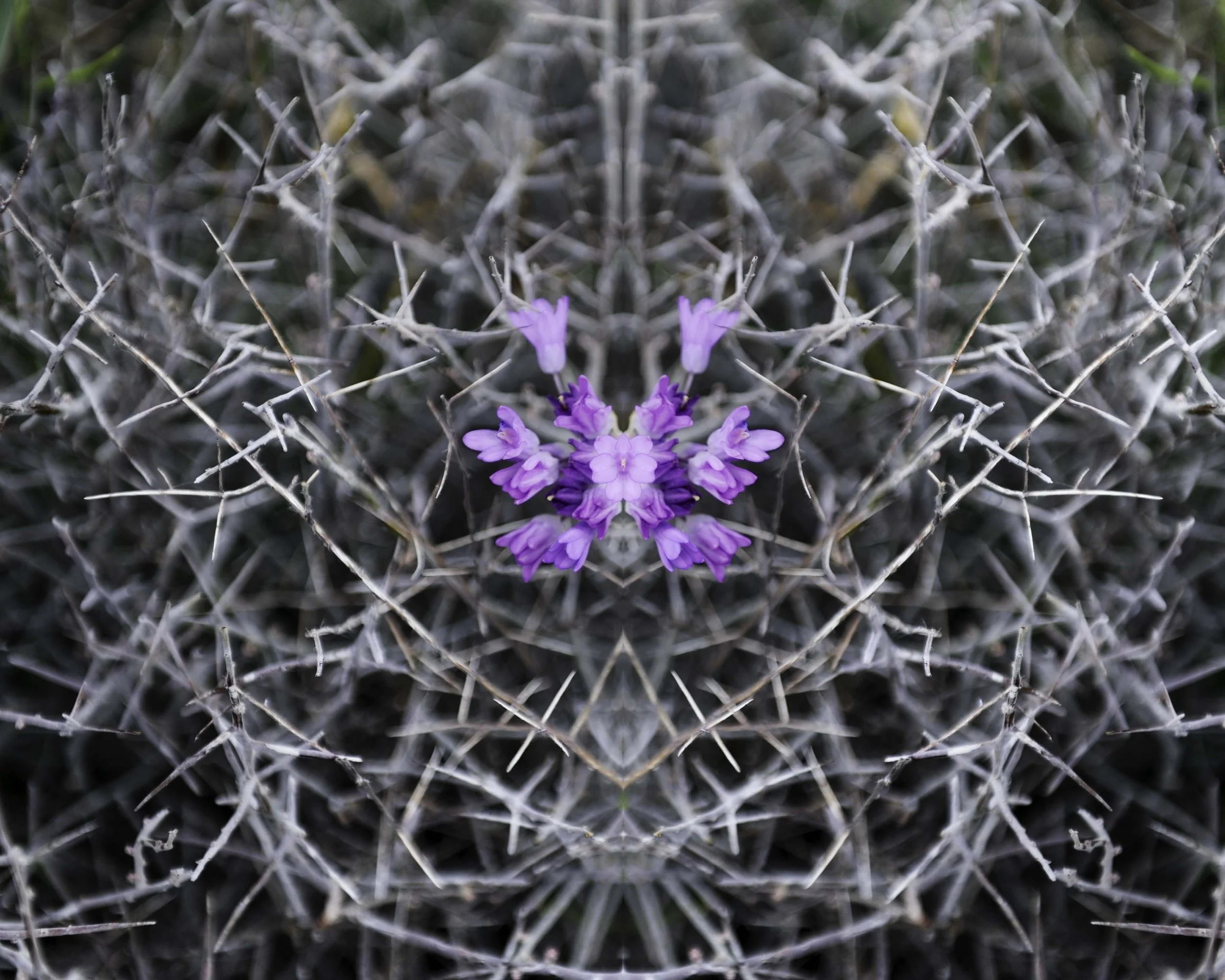 Manufactured Symmetry 2