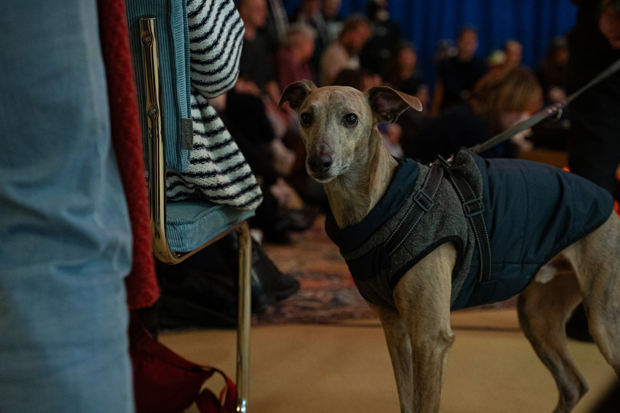 270207 Linkse Hobbies - Wijk Paleis-21.jpg