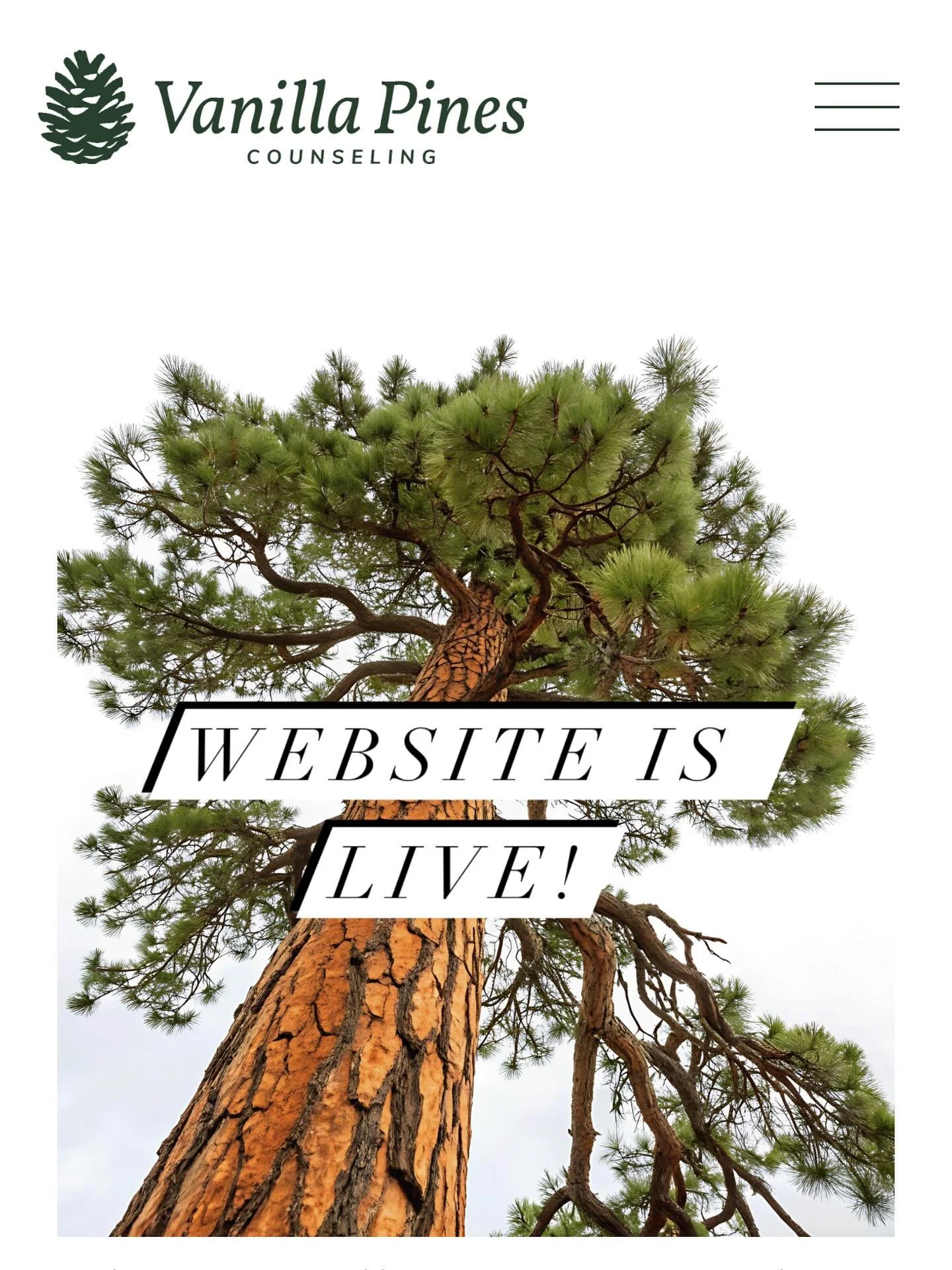 www.vanillapinescounseling.com  Three cheers for my wonderful graphic designer Jessi and her clever and beautiful designs!
