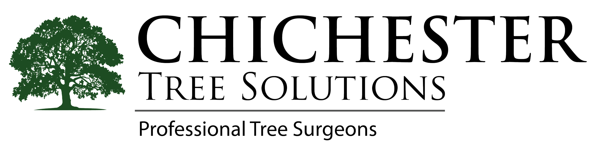 Chichester Tree Solutions