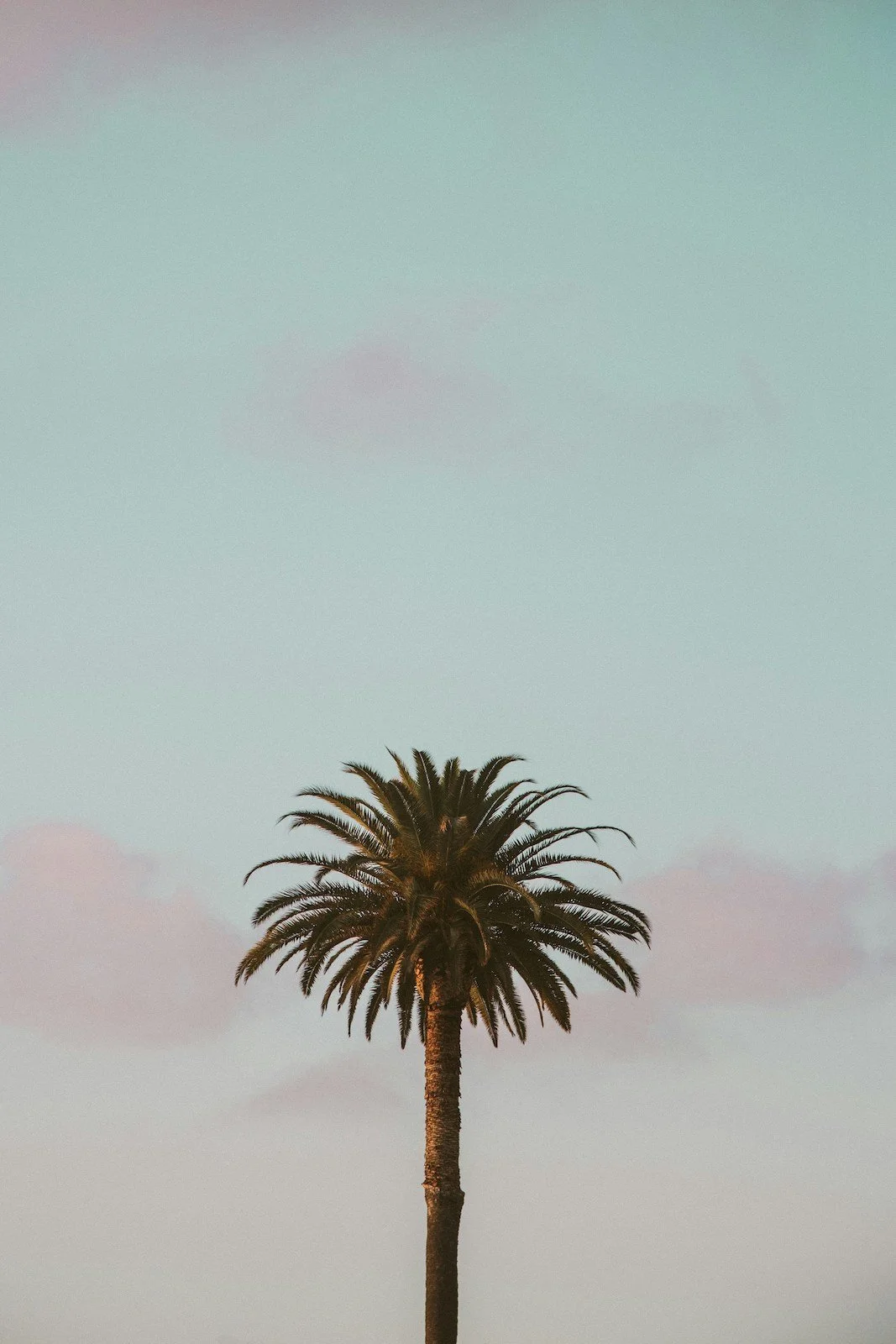 Pilates at Revive PT & Pilates in Encinitas, CA