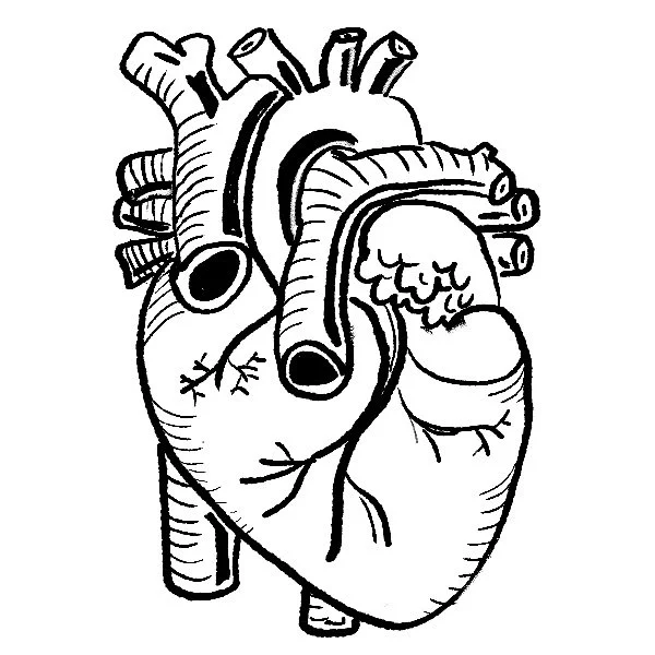 heart.jpeg