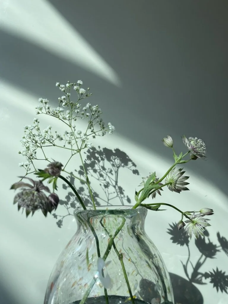 3721D793-A915-4C7A-87FF-69E28DF06EEC_1_105_c.jpeg