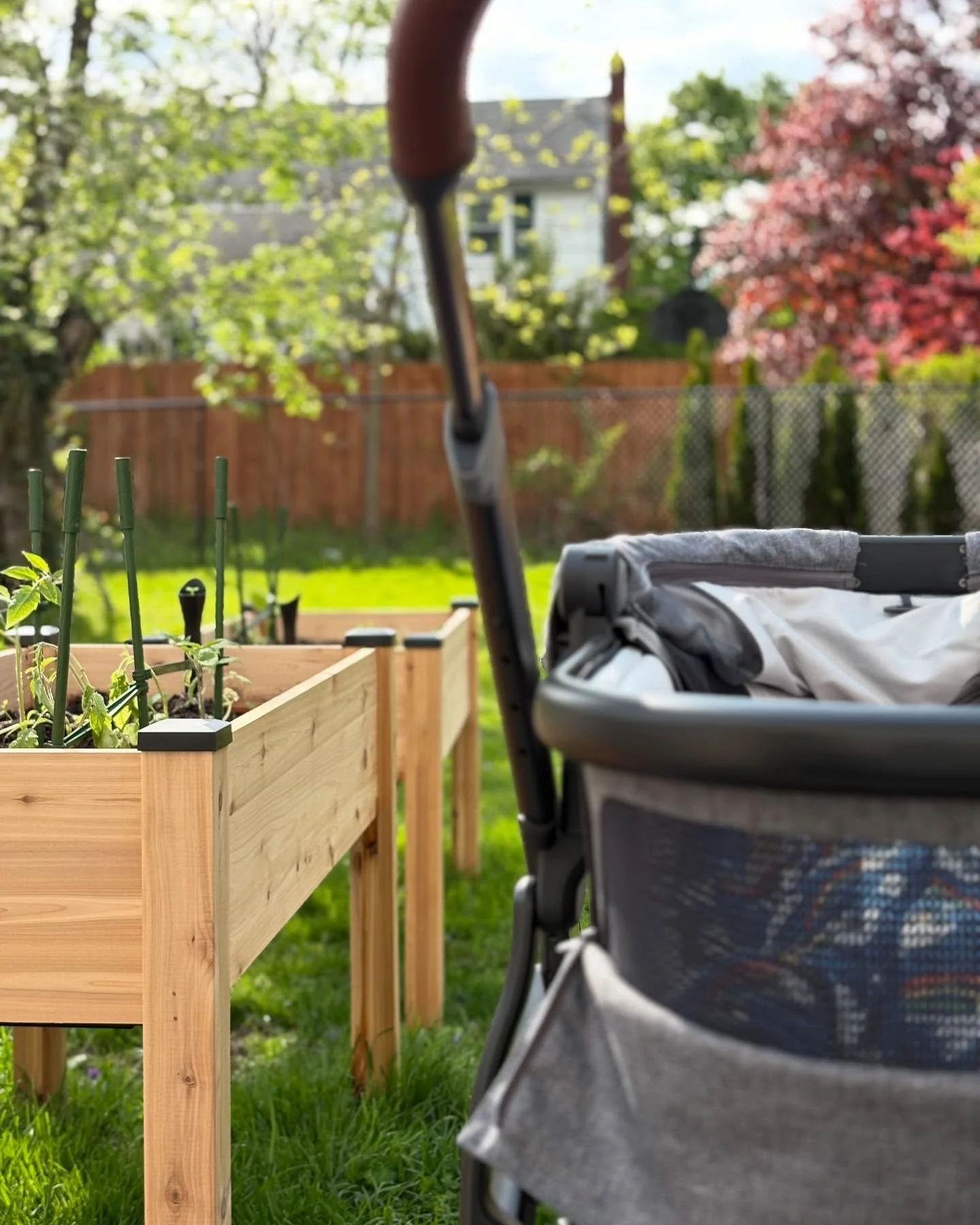 I stepped away from IG for a while to focus on having a healthy pregnancy. It was high risk given my age and autoimmune conditions, and I felt pulled to go inward while navigating the mental, emotional, and physical changes I was experiencing. 

I pl