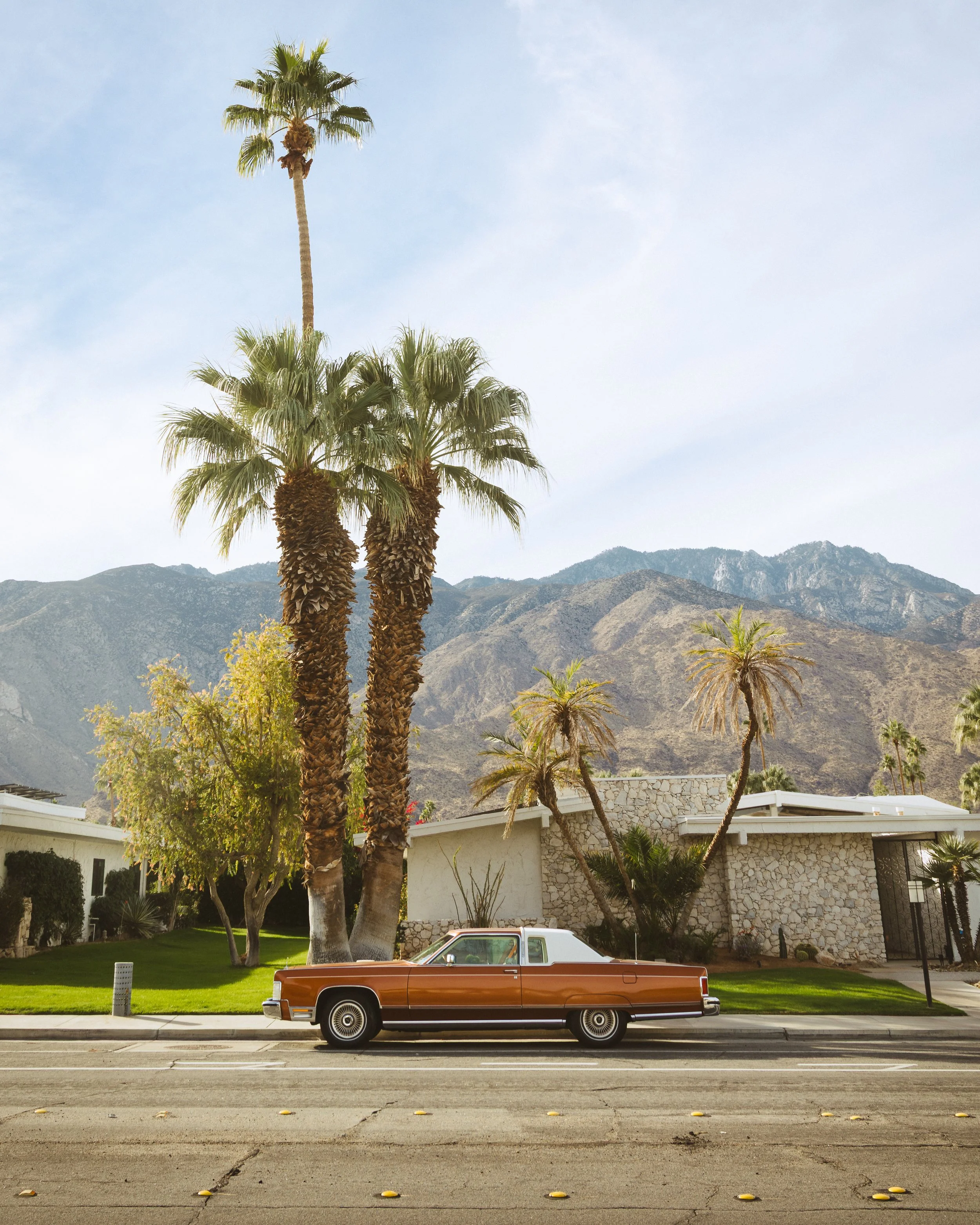 palmsprings2.jpg