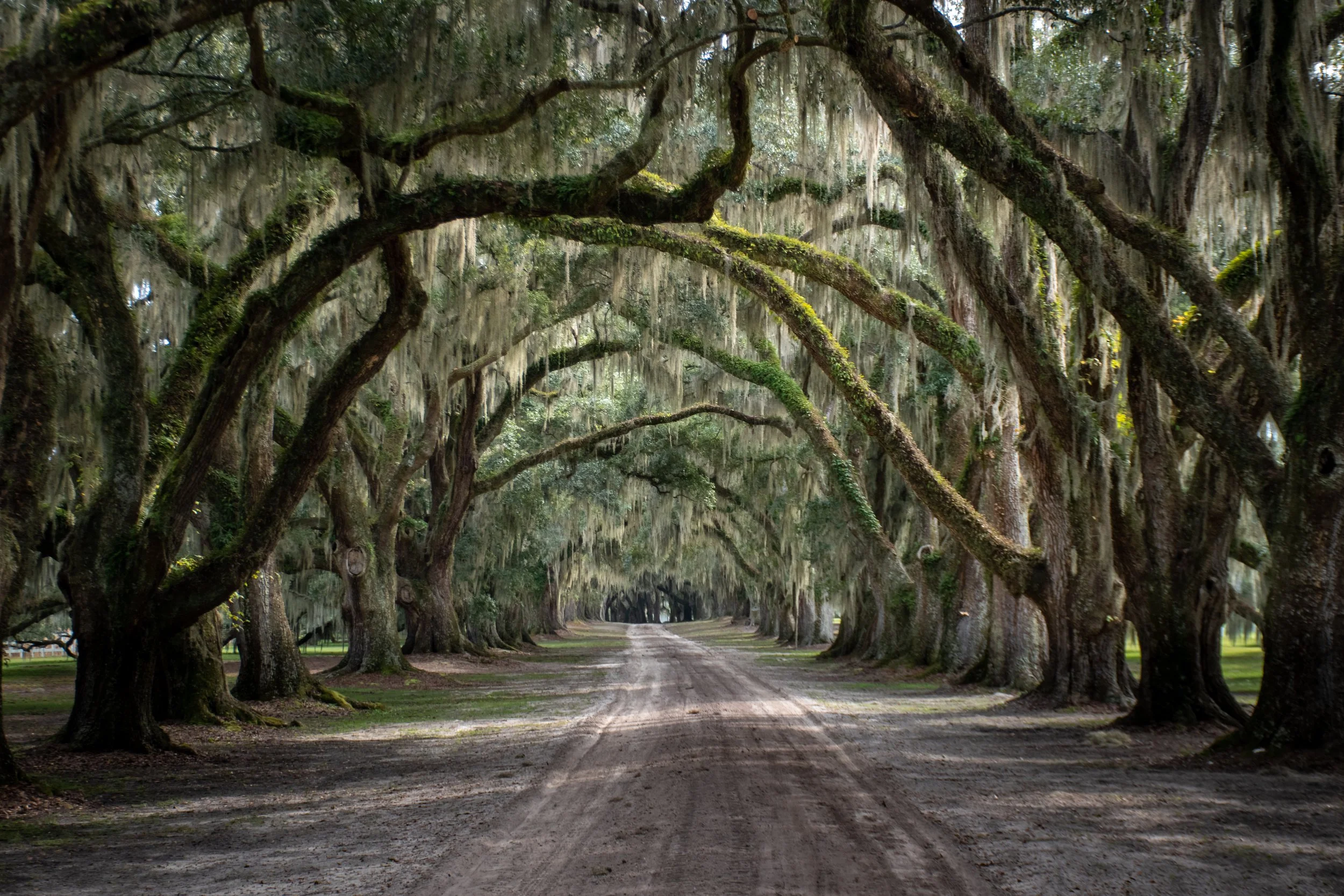 hiltonhead1.jpg