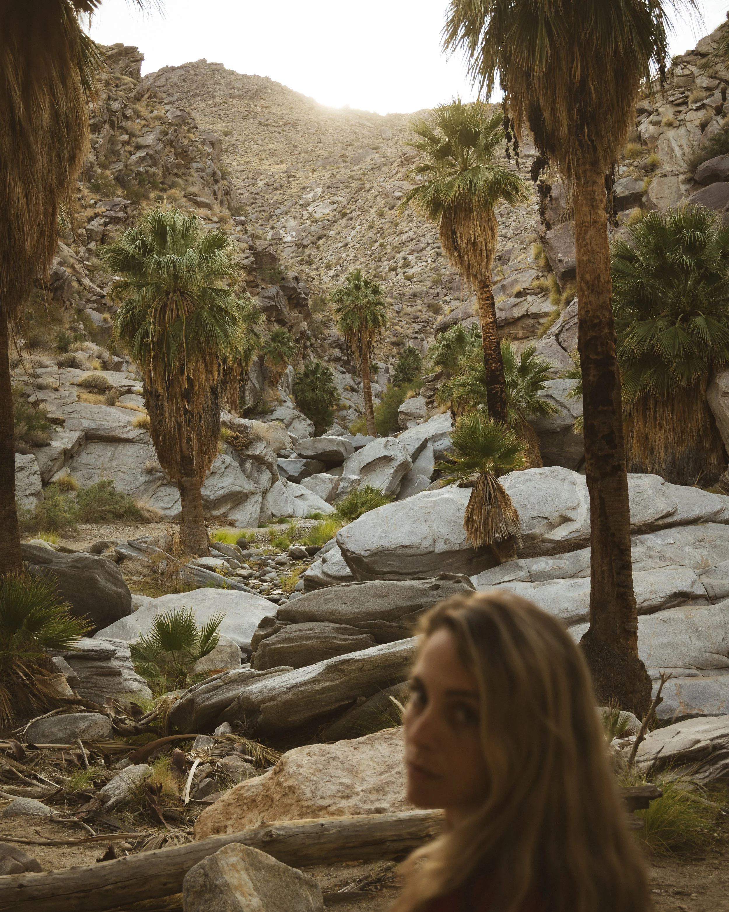 palmsprings1.jpg