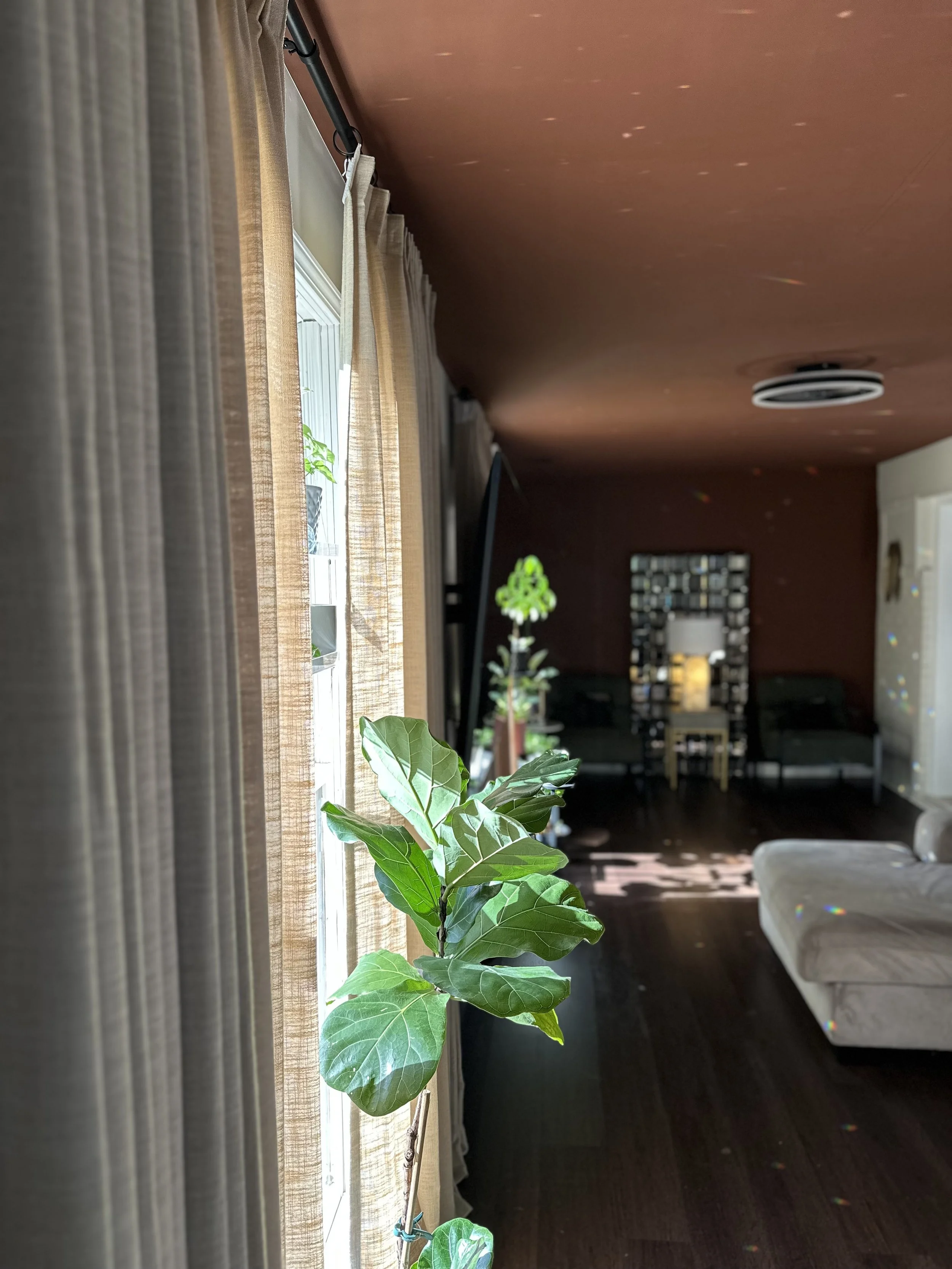 December: The Season of Stillness, Alignment, and Becoming a Magnet