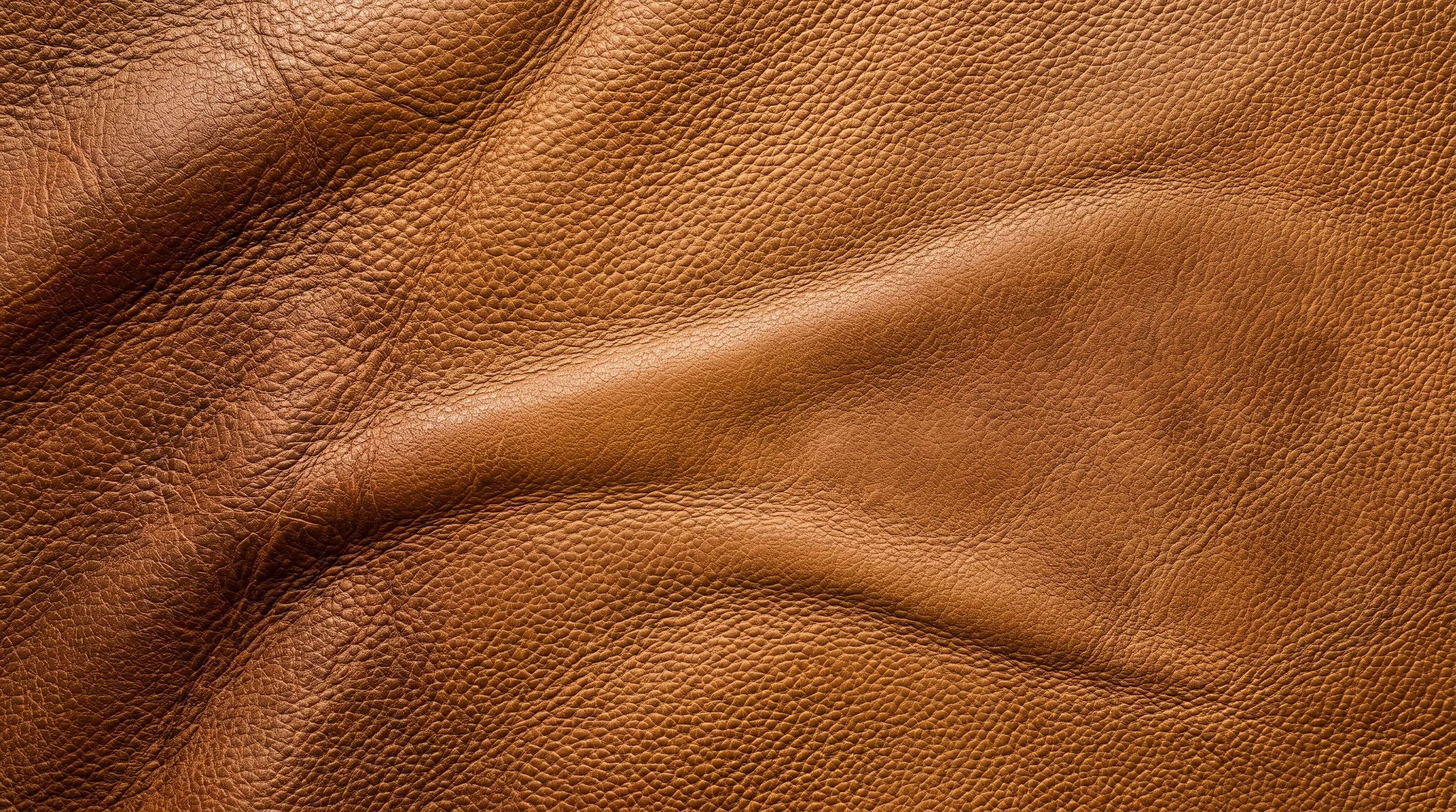 Close-up view of brown leather.