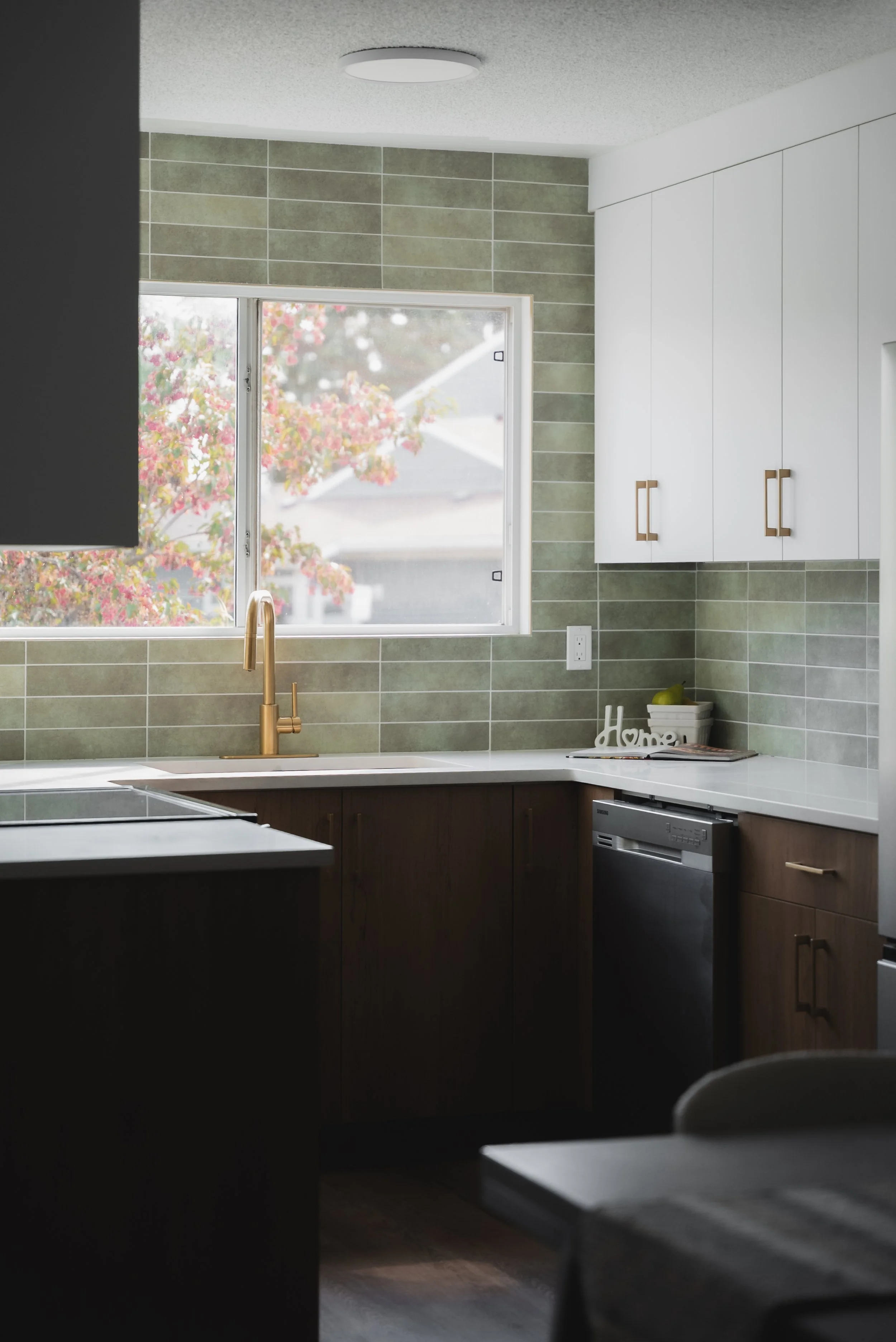 DSC00896 - Copy - Copy - Copy - Copy - Copy (2).jpg