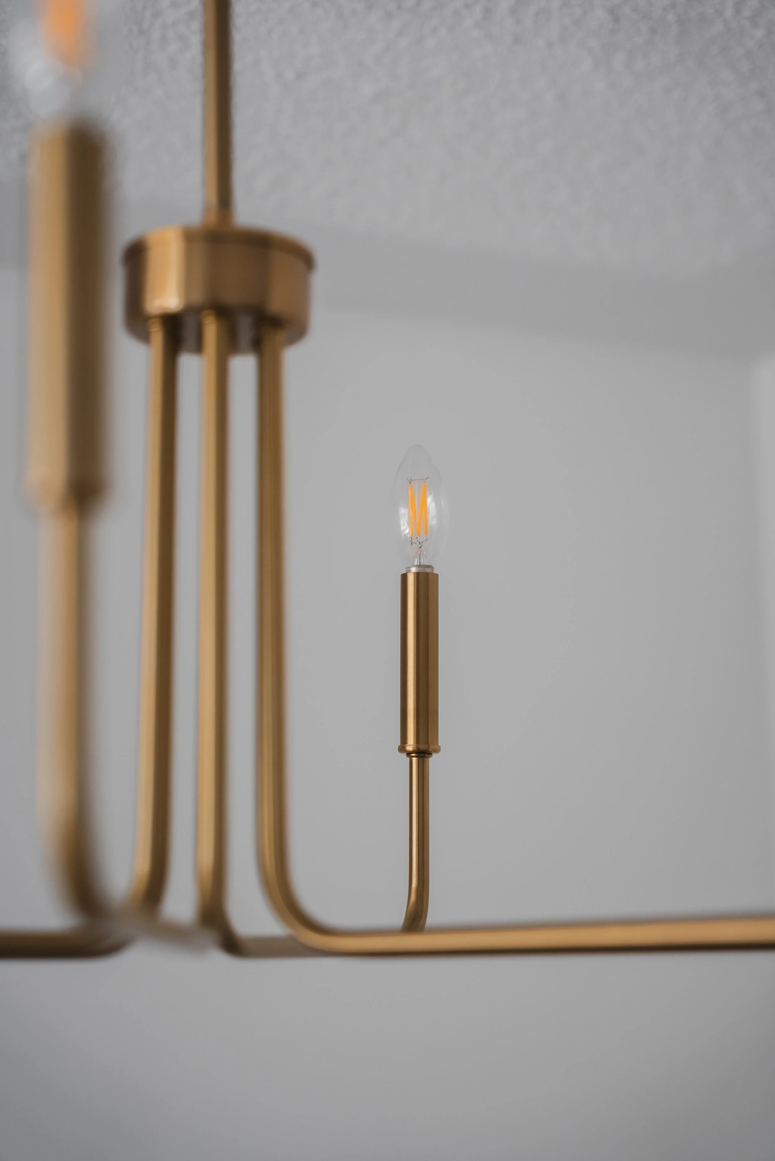 DSC00872 - Copy - Copy - Copy - Copy - Copy - Copy (2).jpg