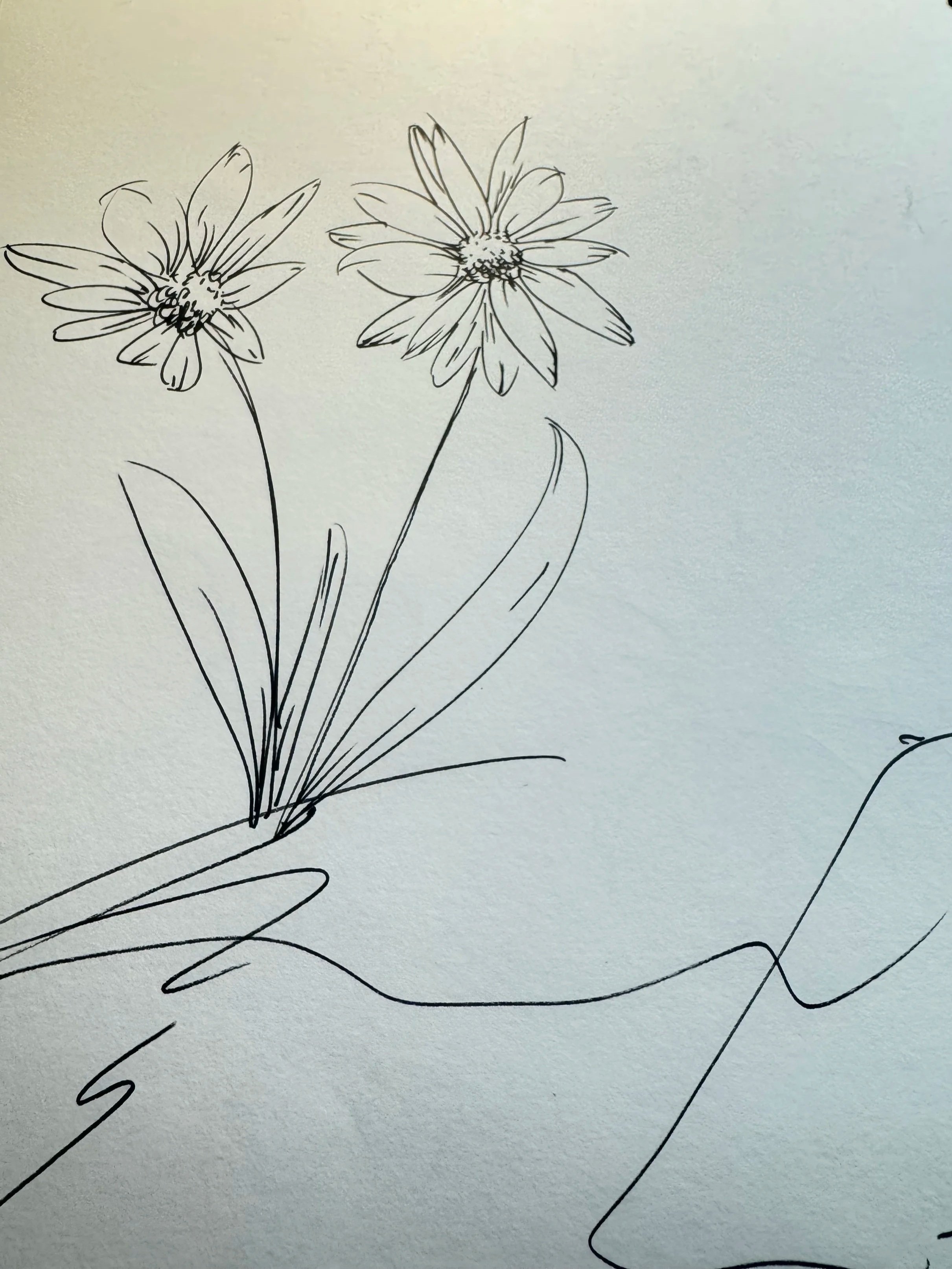 From the sketchbook