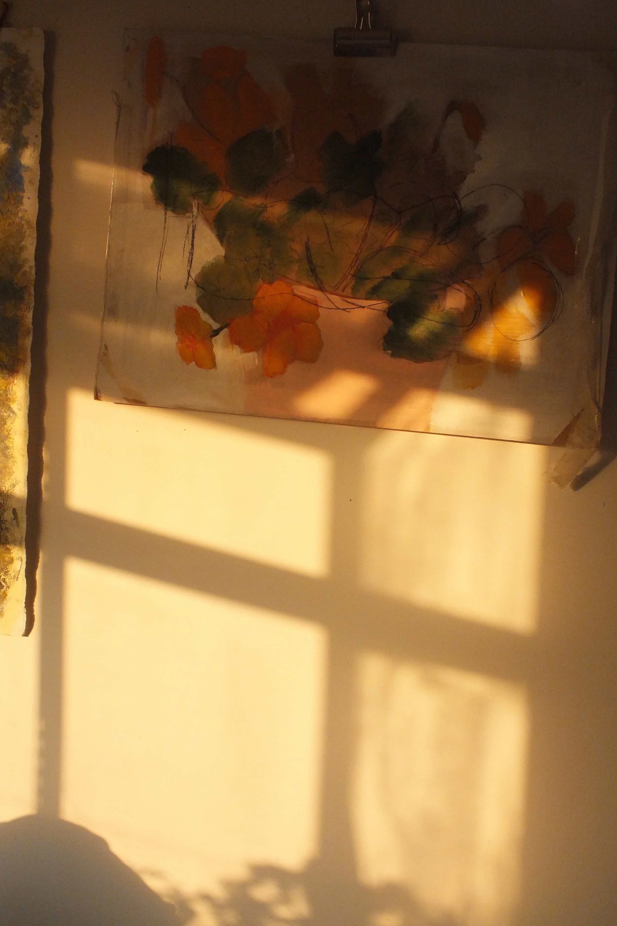 DSCF2954.jpg