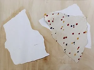 ThePale(ofMN)_thumbnail.jpg