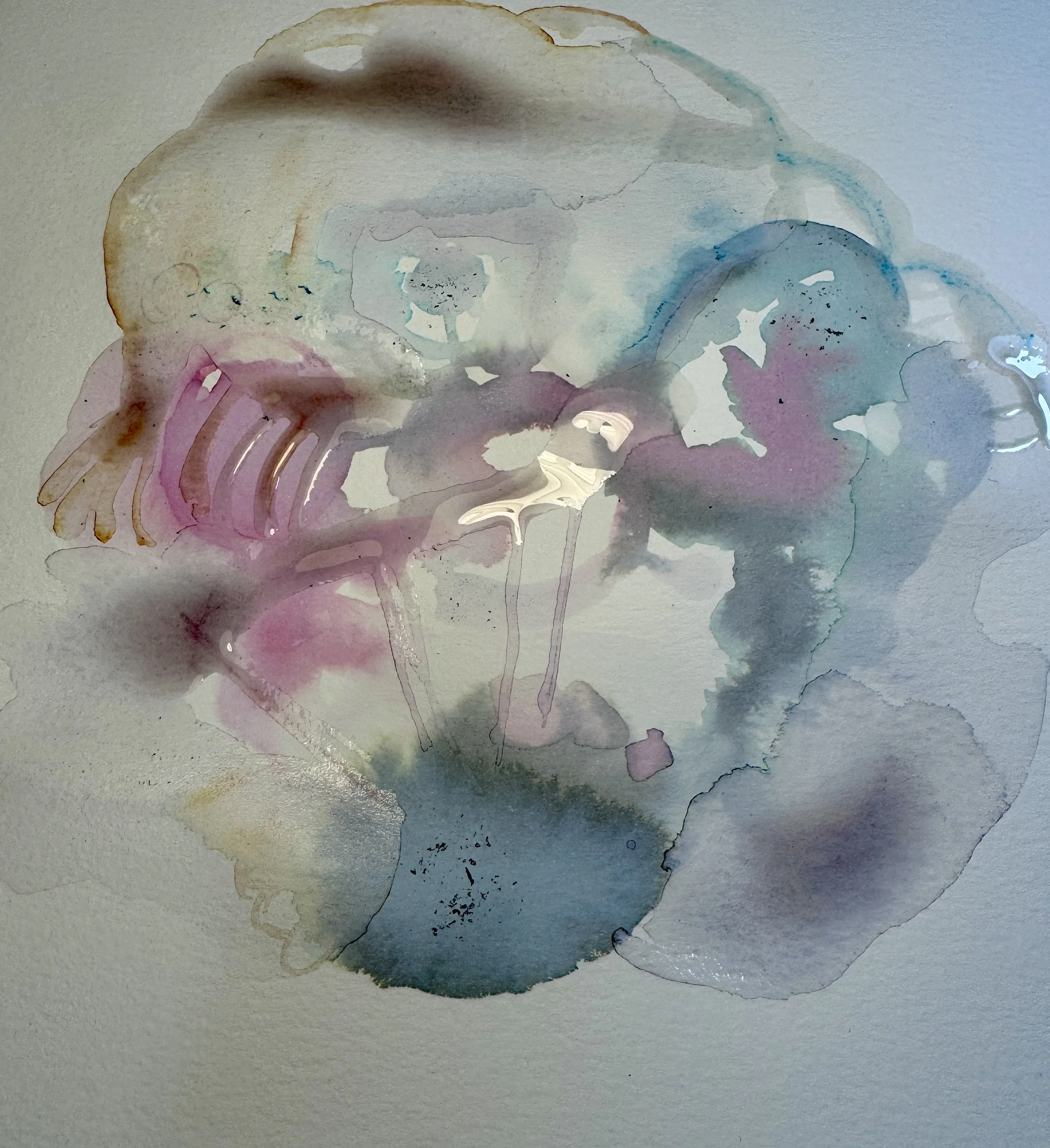 Organic Abstractions 2022-