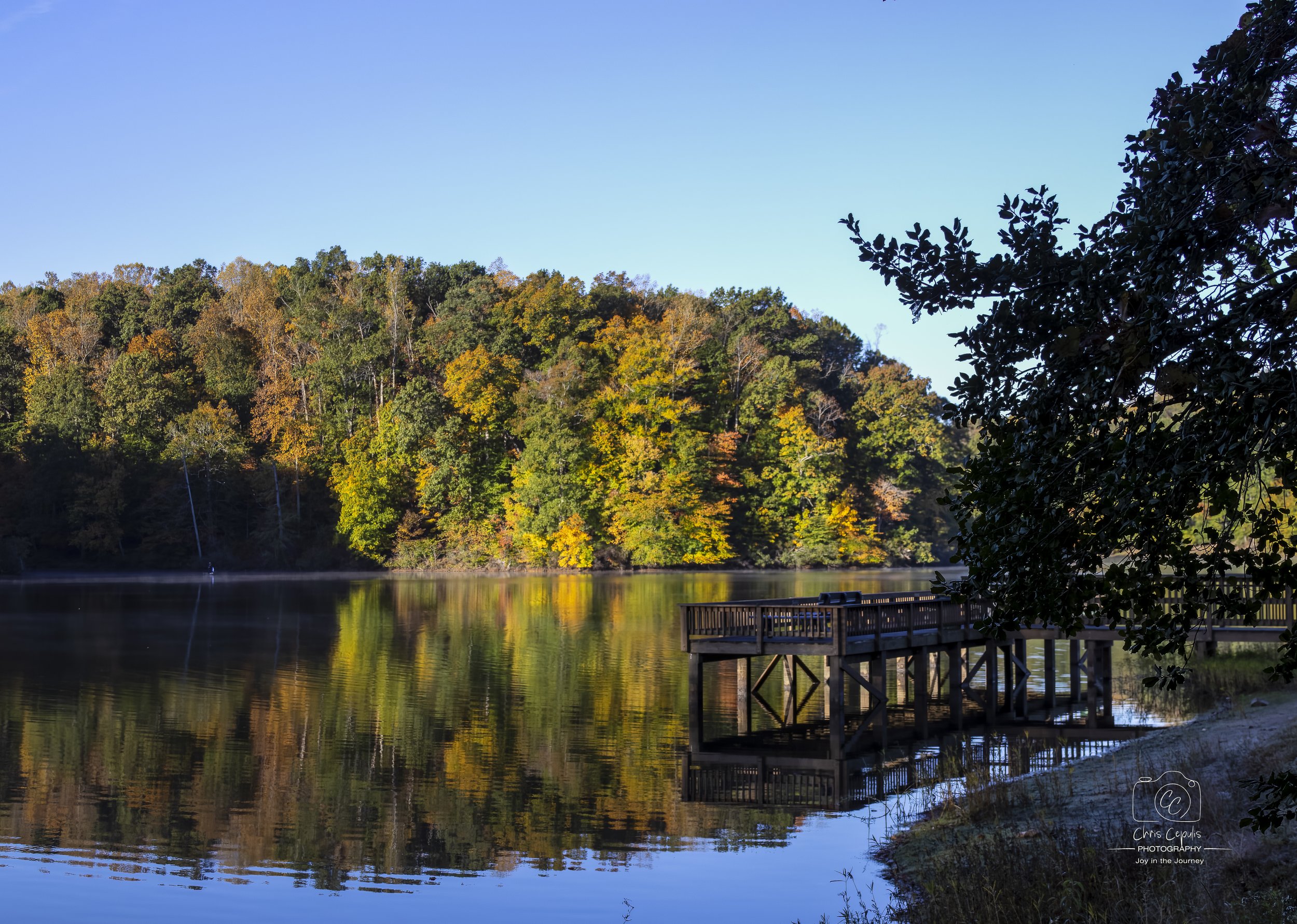 Fall at Motts Run