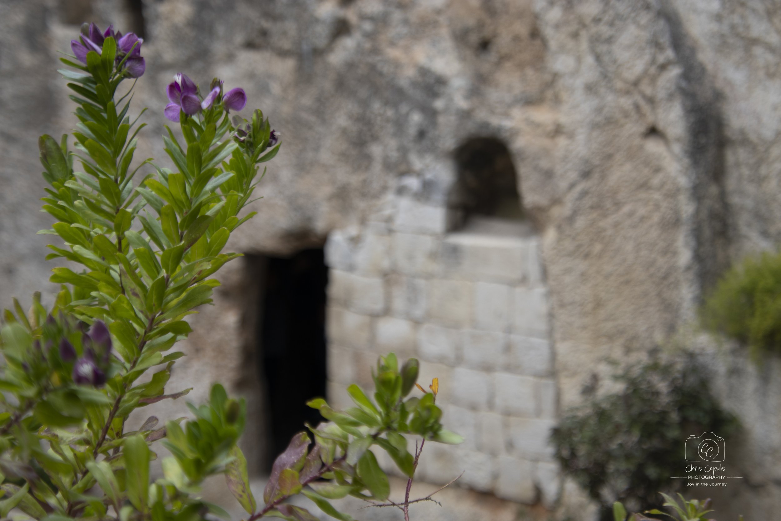 The Garden Tomb, Jerusalem