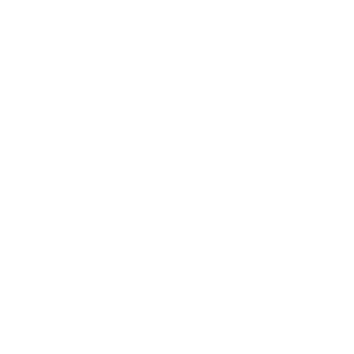 Dr. Reginald E. Lewis