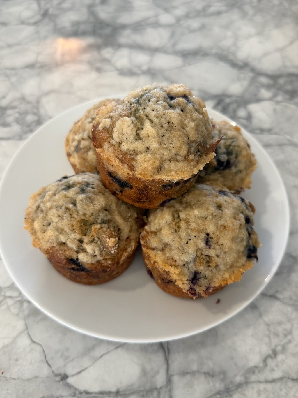 Bakery Style Blueberry Muffins with Light Crumb Topping