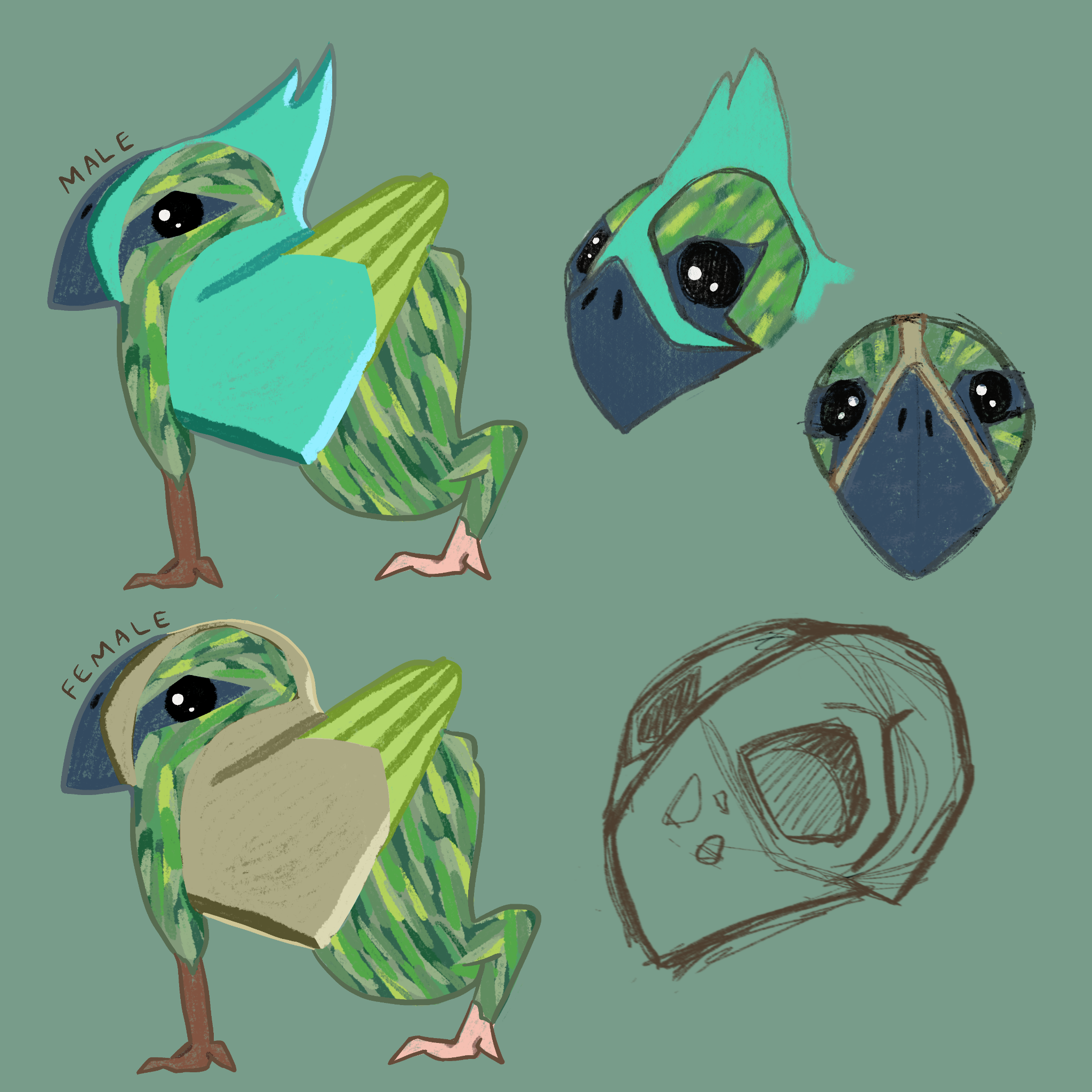 Tropicaes Alaki - seen in page 01 of the Prologue