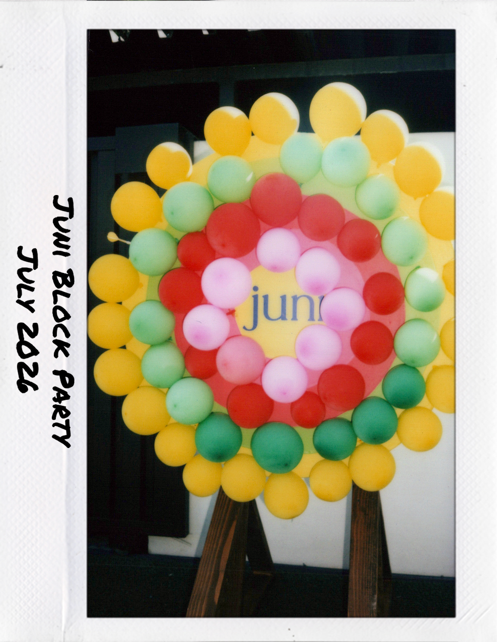 juniblockparty8.png