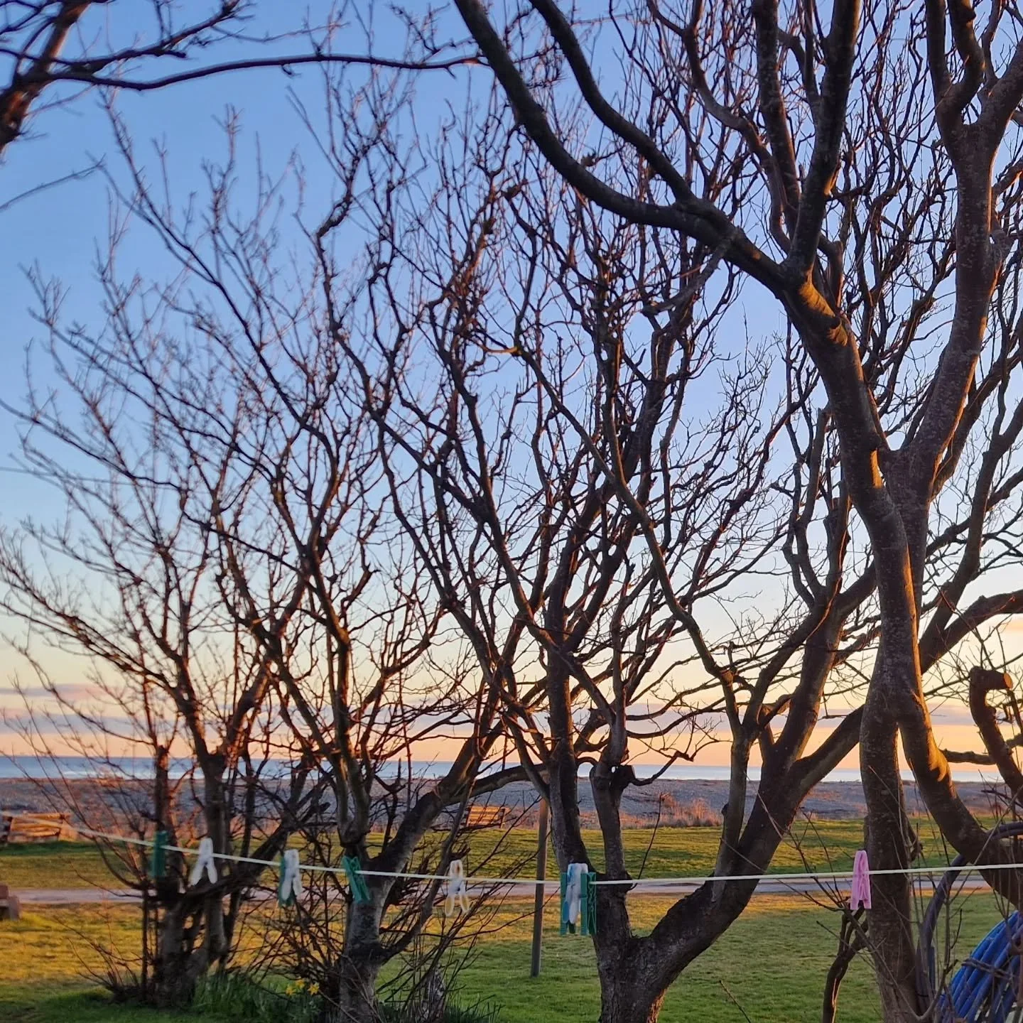 Another beautiful #kingstononspey morning.

I love the softness of that sky.

#nature 
#speyside 
#marchmorning 
#springiscoming☀️
