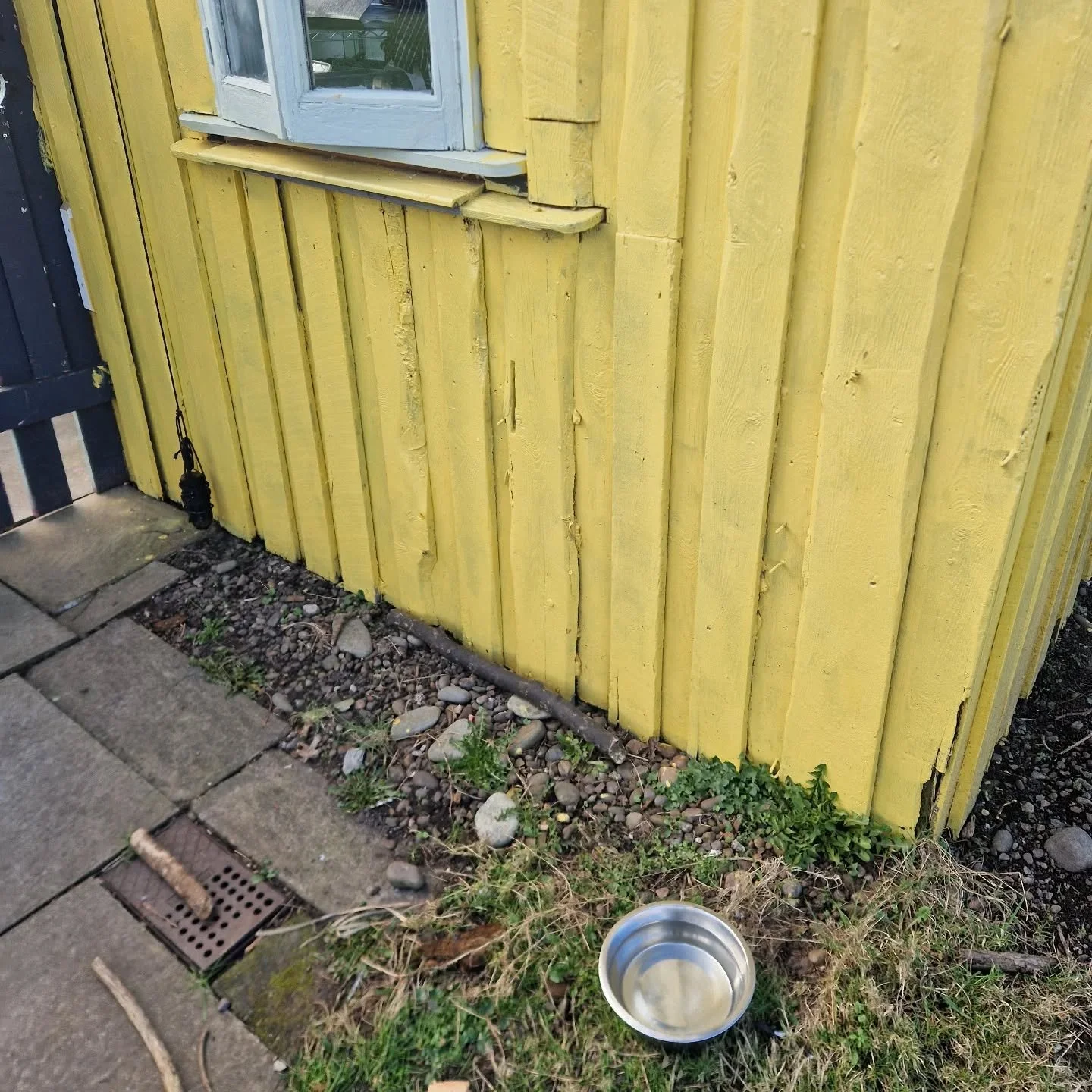 Getting ready for my 2pm opening. Dog bowl is in place for thirsty canine visitors.

Cats and squirrels also welcome but Nyxie might frighten them off.

#gelatoshack 
#bluesky 
#kingstongelato 
#sundayvibes
#icecreamdays