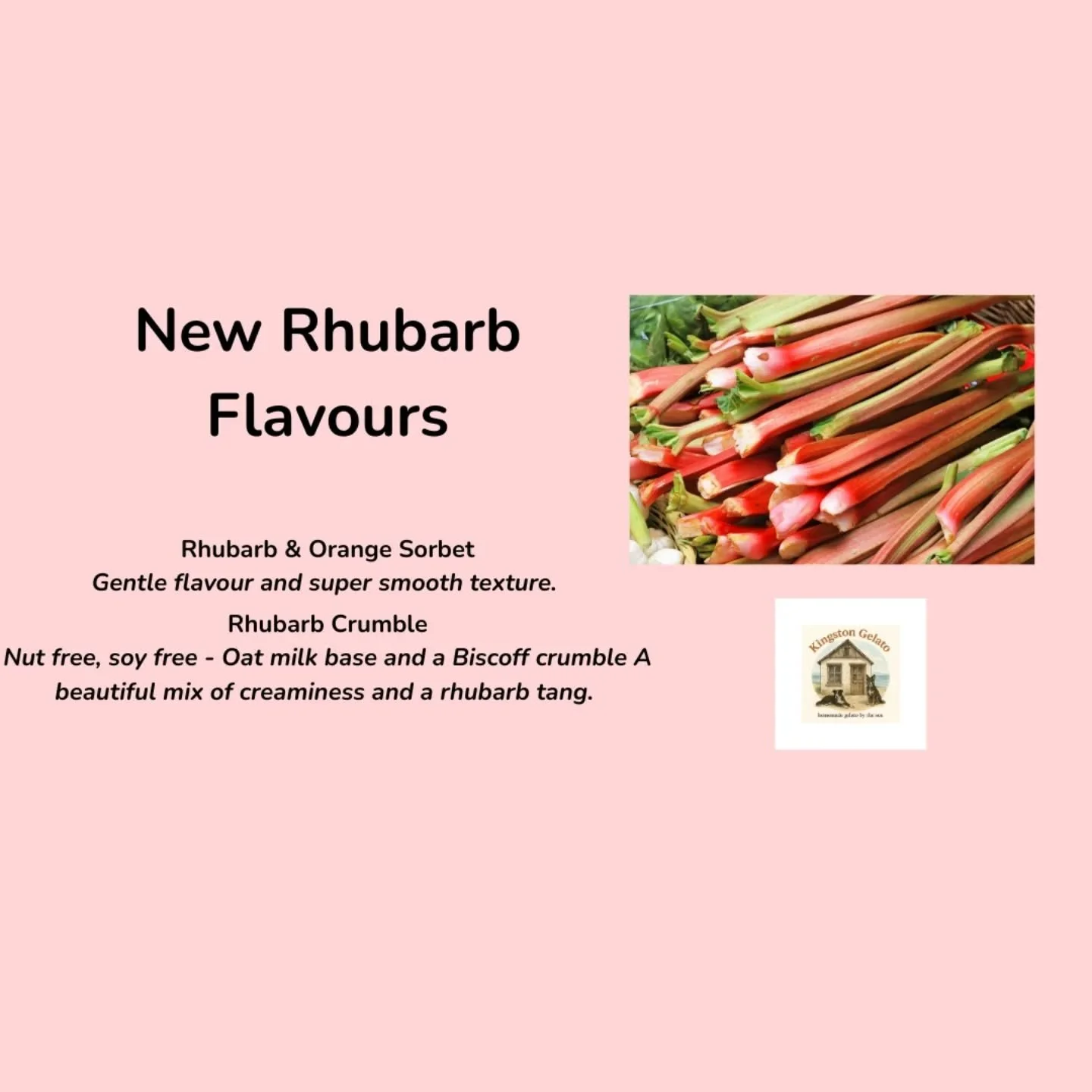 So happy with the new rhubarb flavours. From a garden in #garmouth to the #kingstongelato shack.

#organicgarden #shoplocal #speyside