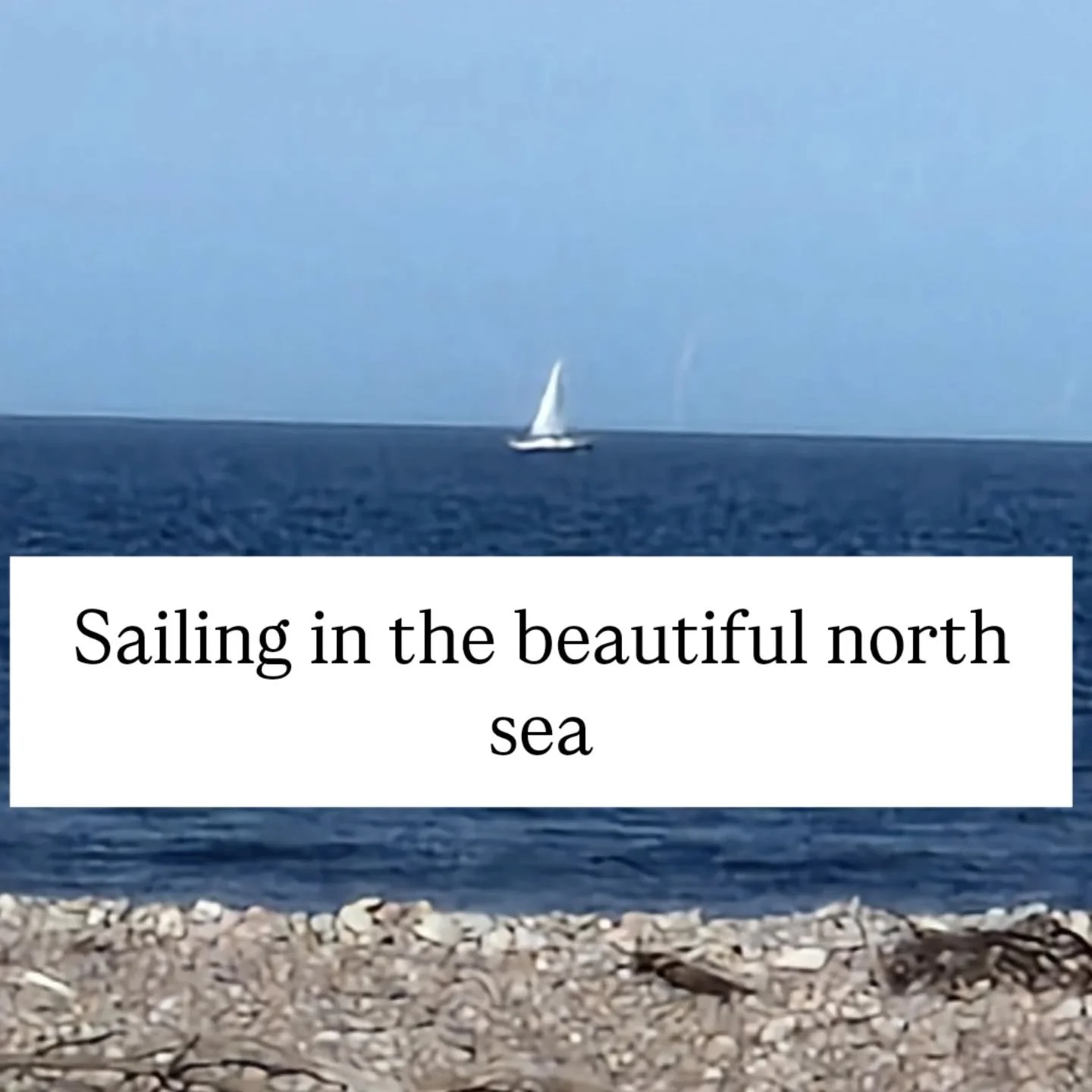 I wonder if they'll stop in?

#sailingdays #northsea #visitscotland #vegangelato #icecreamdays