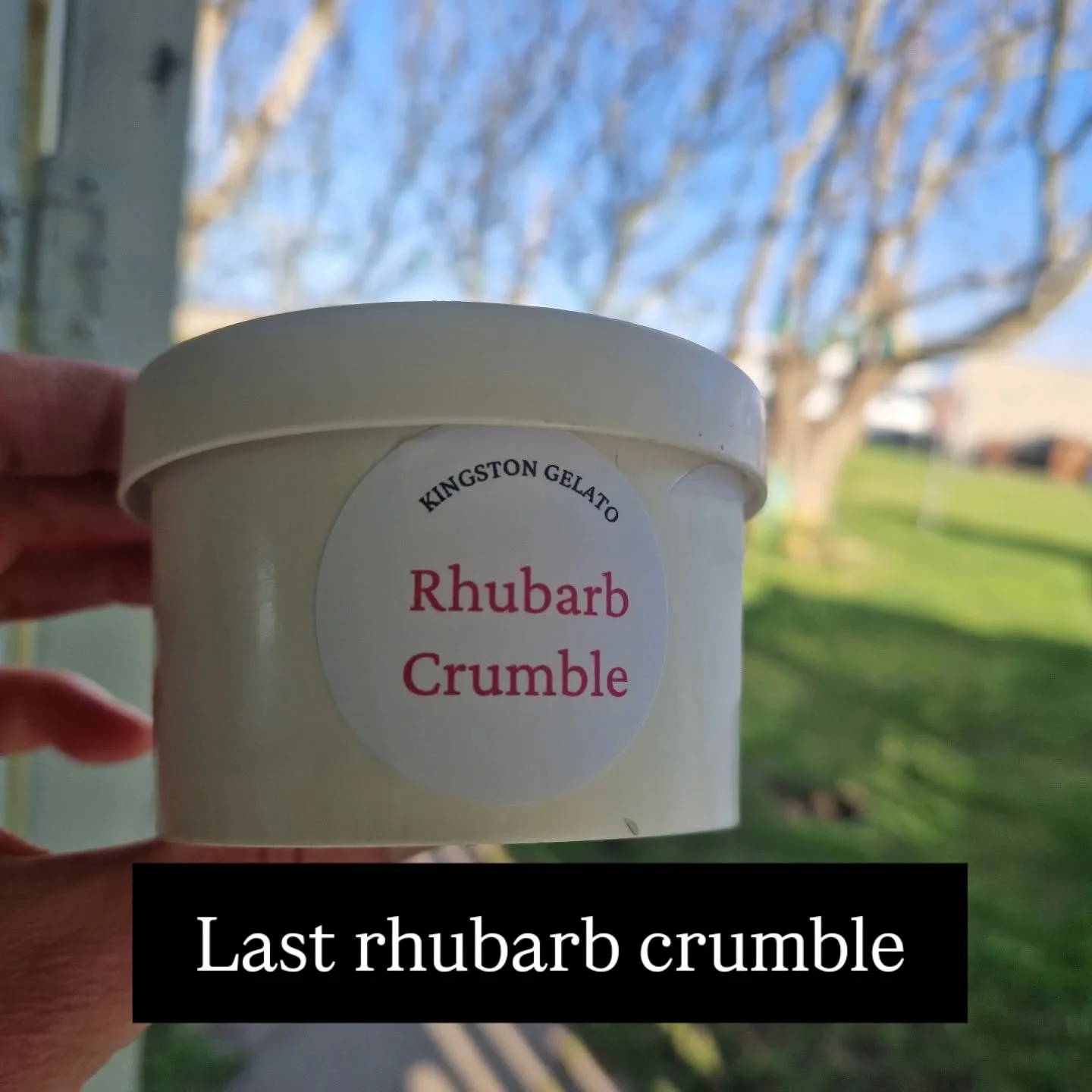 And so it is the way with amazing new flavours. All things must come to an end.

#rhubarb #gardenproduce #vegangelato #spring #moraycoast