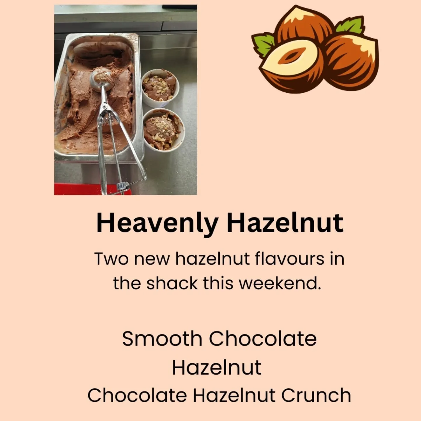 2 new flavours in the shack this weekend. Both gloriously indulgent and perfect for an Easter treat.

Both made with Hazelnut Butter and Organic Vegan Milk Chocolate from @realfoodsource and the nuts you see there are a super creamy batch from @sousc