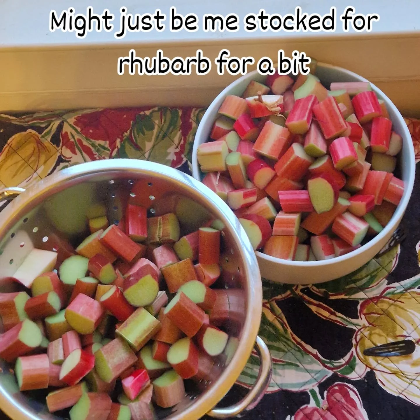 I was planning on holding out for a fresh supply of rhubarb. 

And I didn't have to hold out long.

Big thanks @janetldonnelly for this luscious looking supply.

#rhubarbcrumble #gelato should be back in the shack this weekend. Alongside some rhubarb