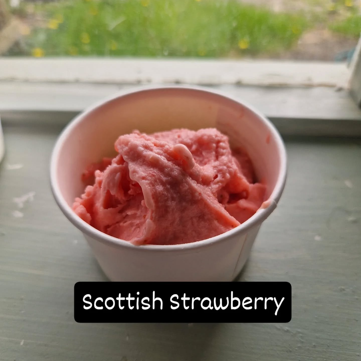 Freshly churned and now in the shack.

#strawberrygelato #homemadegelato #dairyfree #moraysmallbusiness