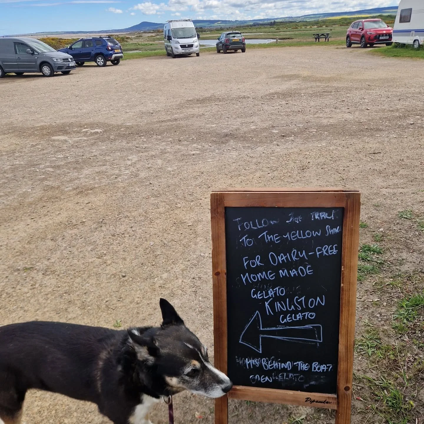 The sign is out. Thought I'd try and catch some of that blue sky before it passed.

Open for any all weather walkers/cyclists/gelatolovers.

#kingstononspey #gelato #Moray #dogwalker🚶🏻&zwj;♂️🦮💨 #localproduce