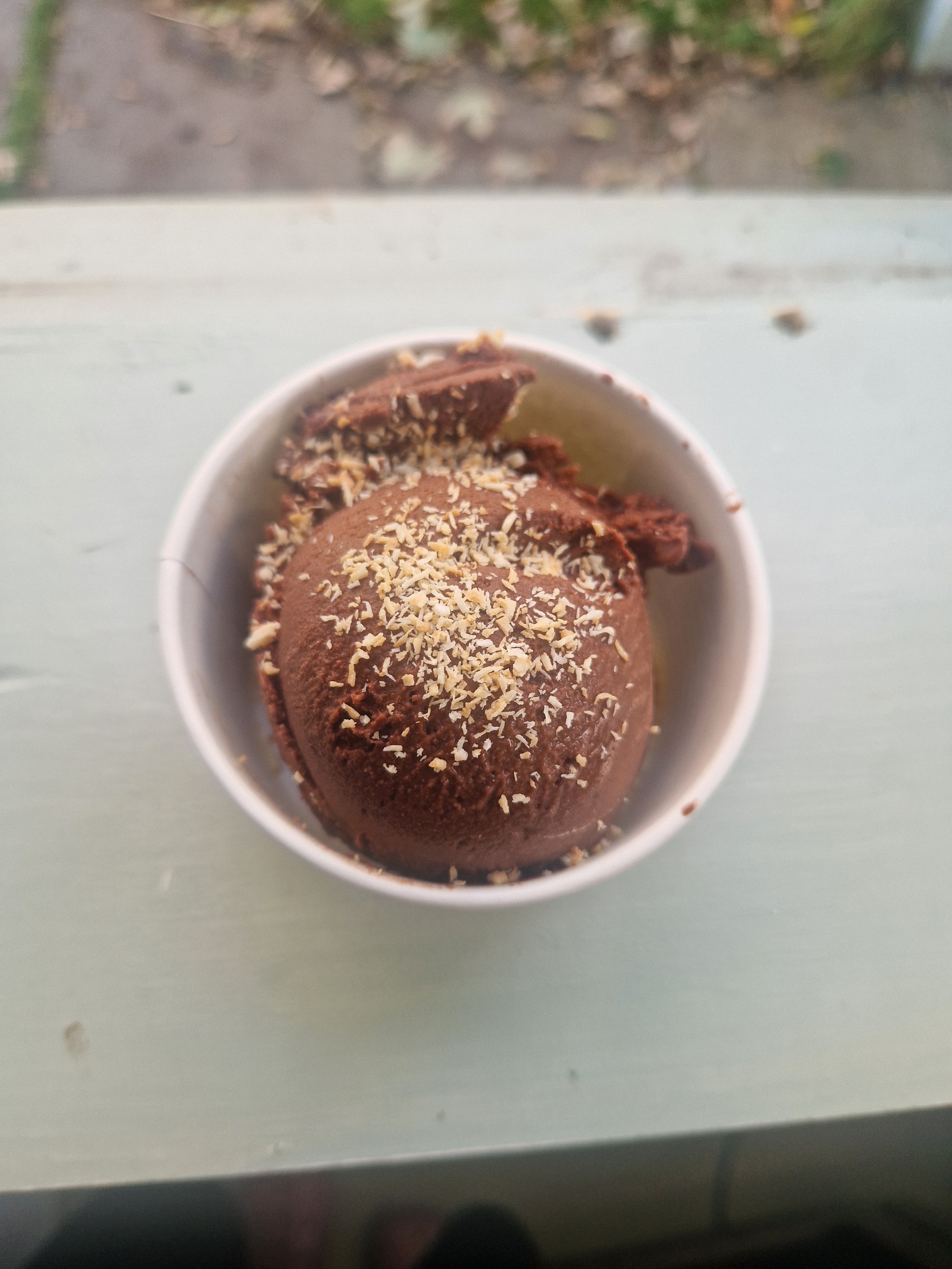 Dark Chocolate & Toasted Coconut Dairy-free ice cream