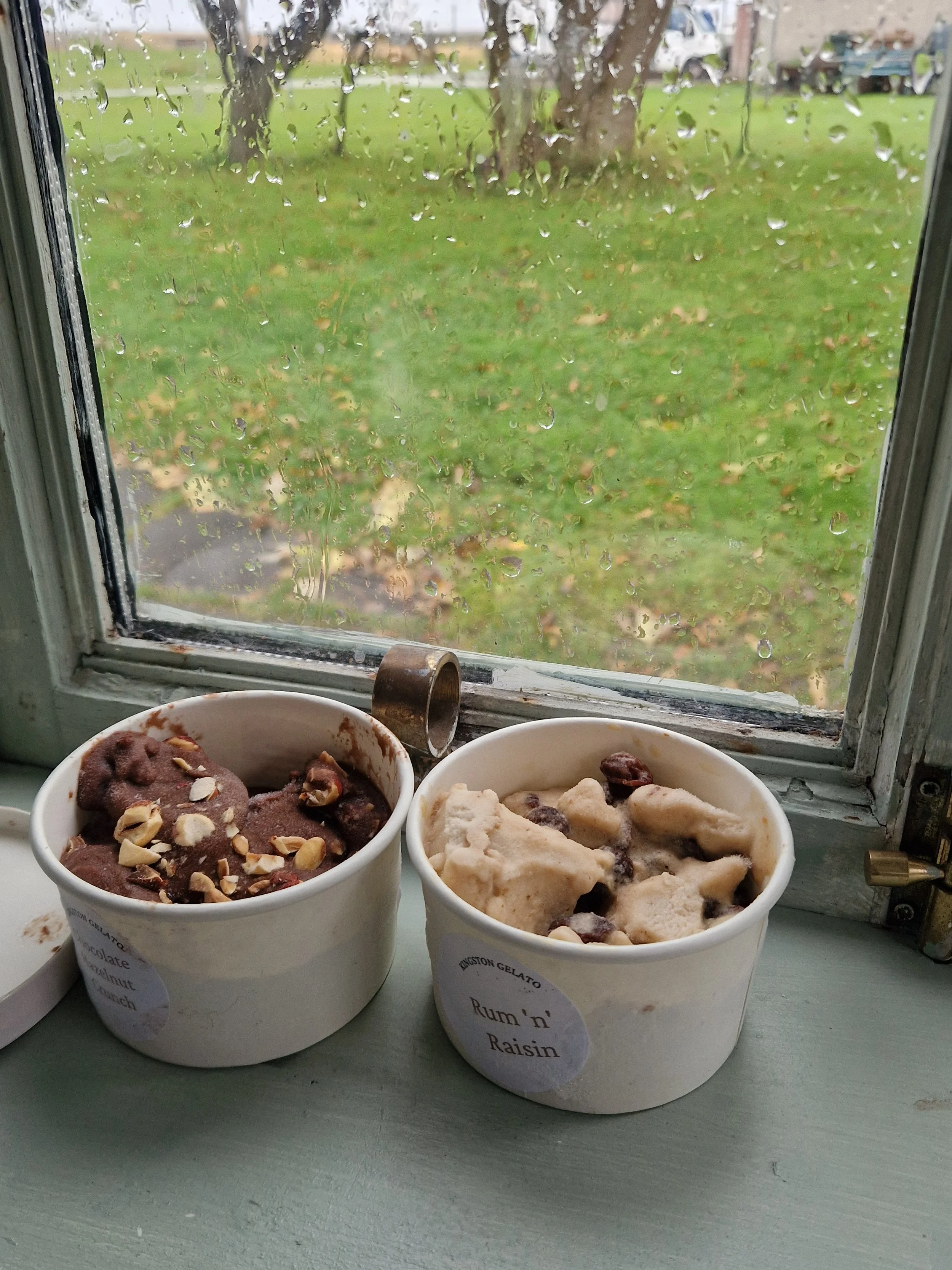 Vegan Chocolate Hazelnut and Rum Raisin Ice Cream