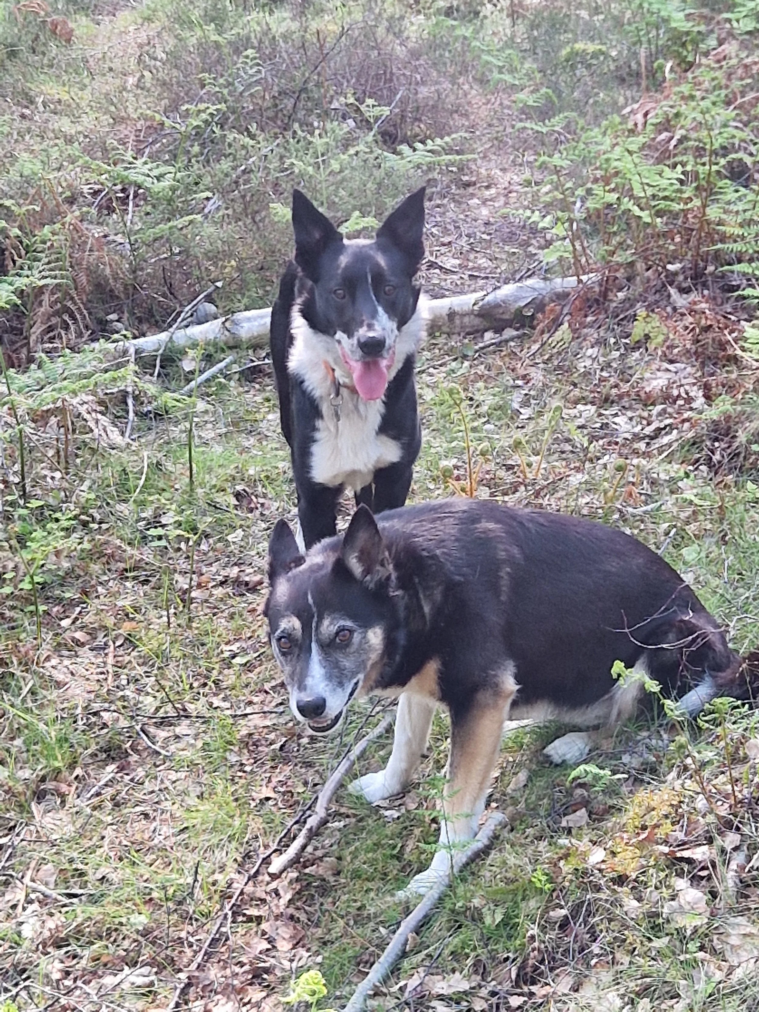 Nyx and Fitz, happy in the Lein