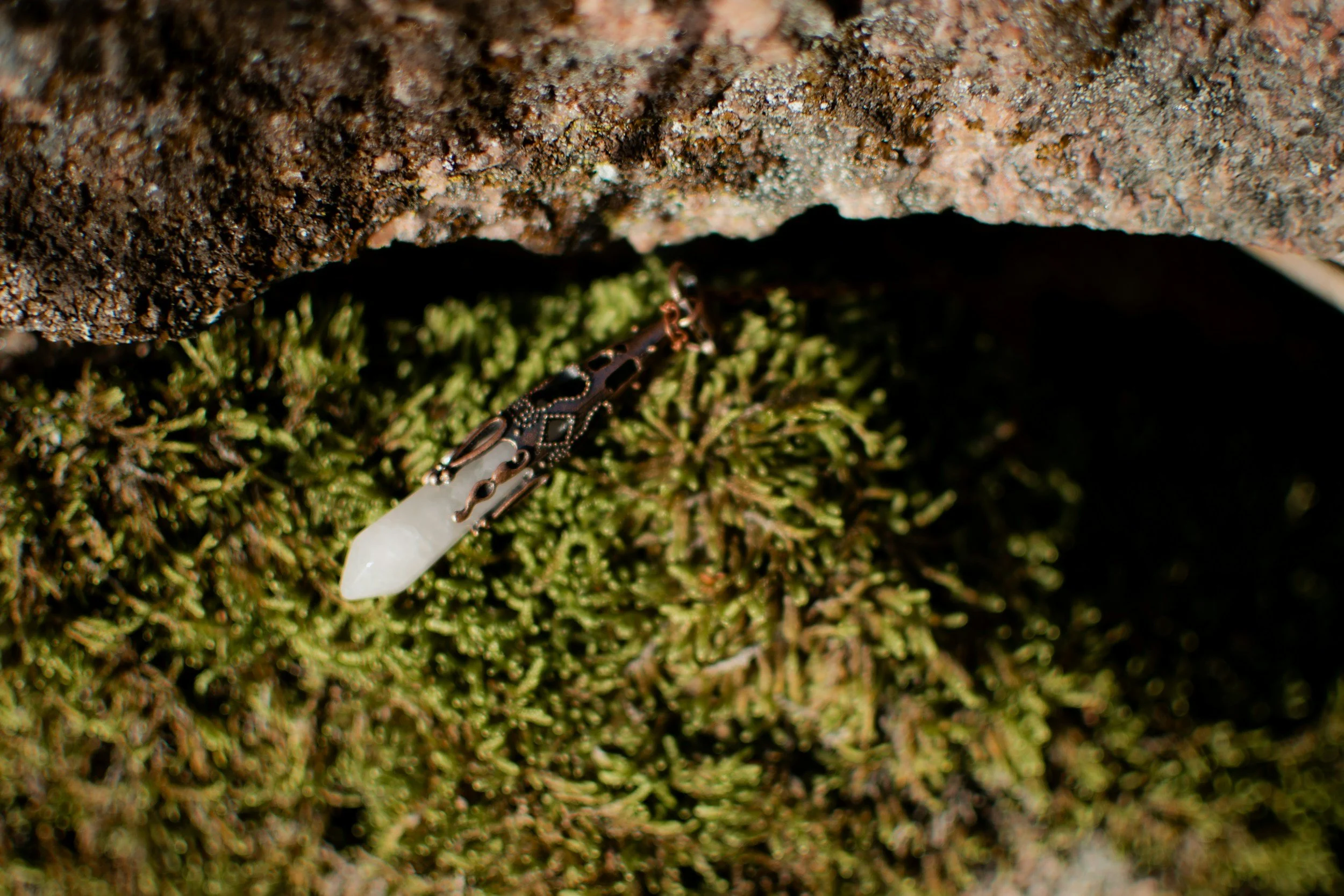 A young insect, possibly a caterpillar or larva, with a white, elongated body and intricate black markings, on green moss beneath a rocky overhang.